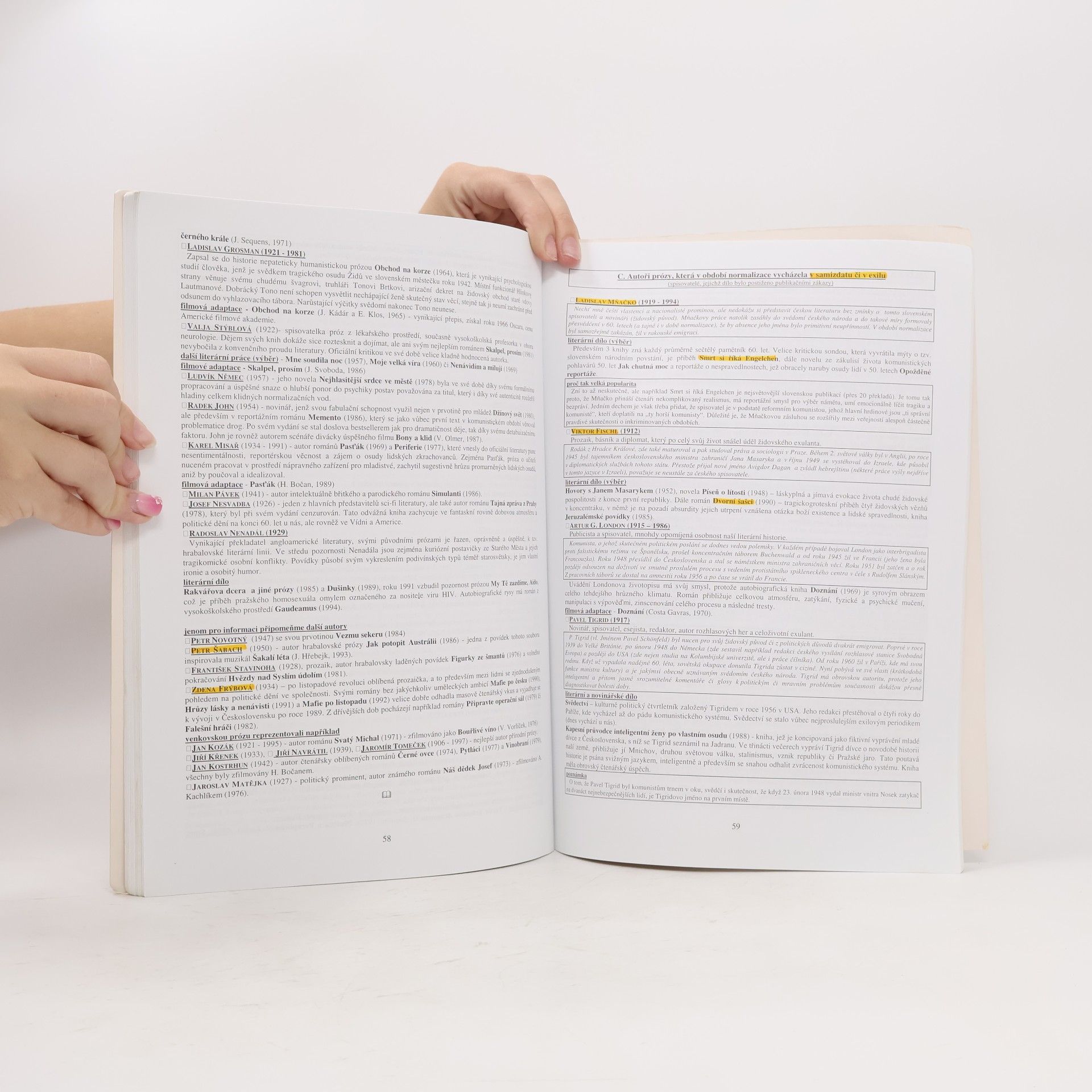 Vladimír Prokop Přehled české literatury 20. století