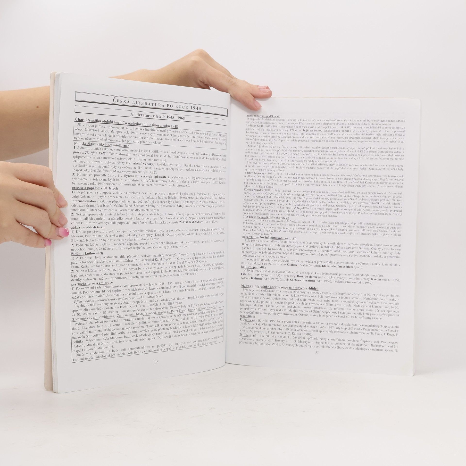 Vladimír Prokop Přehled české literatury 20. století