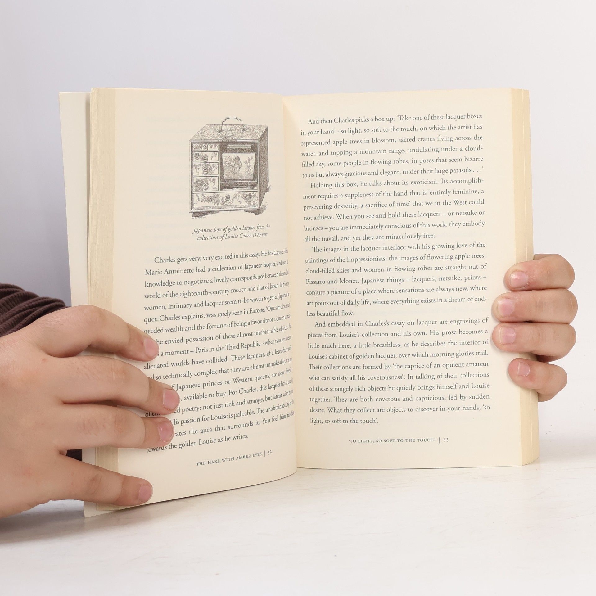Edmund De Waal The hare with amber eyes. A hidden inheritance