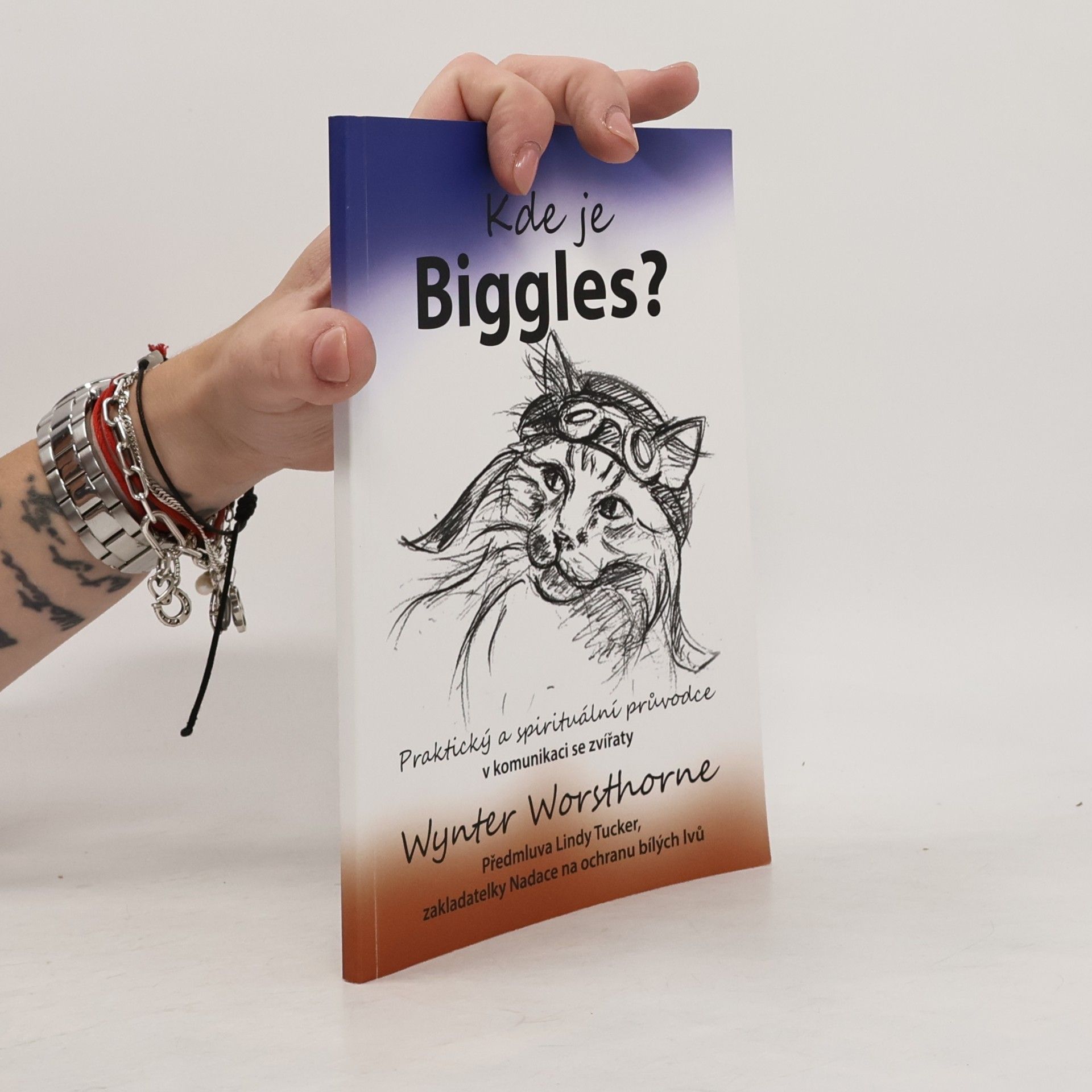 Wynter Worsthorne Kde je Biggles?
