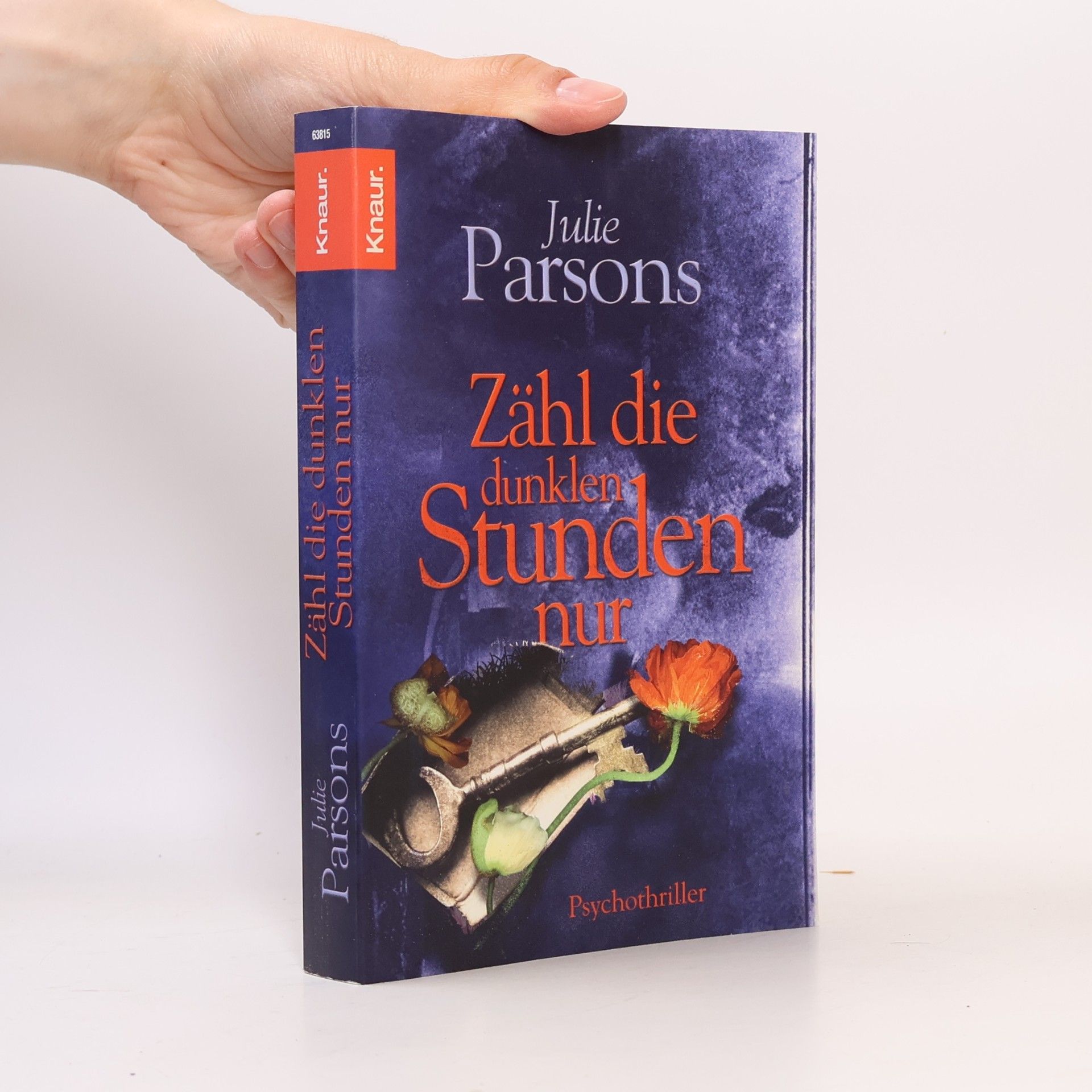 Julie Parsons Zähl die dunklen Stunden nur