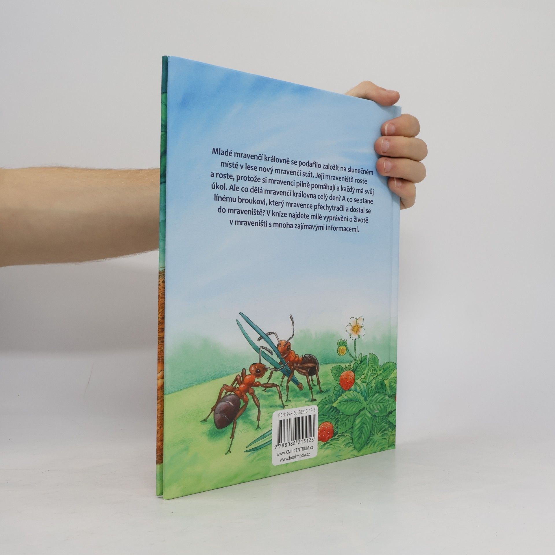 Friederun Reichenstetter Mravenci. Jak vyrůstají a žijí?