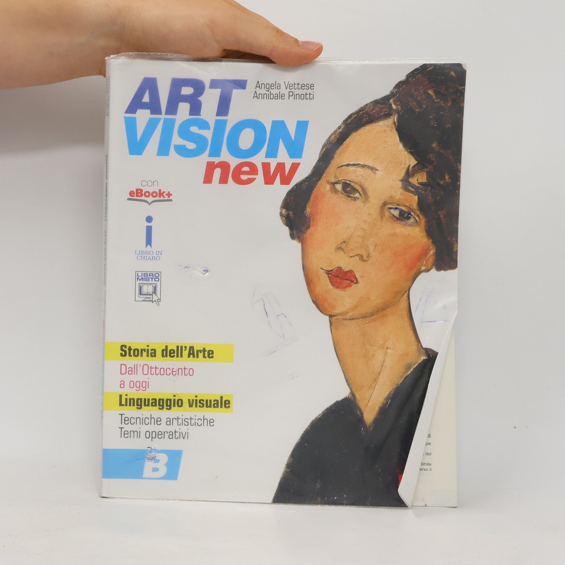Angela Vettese Art Vision New B