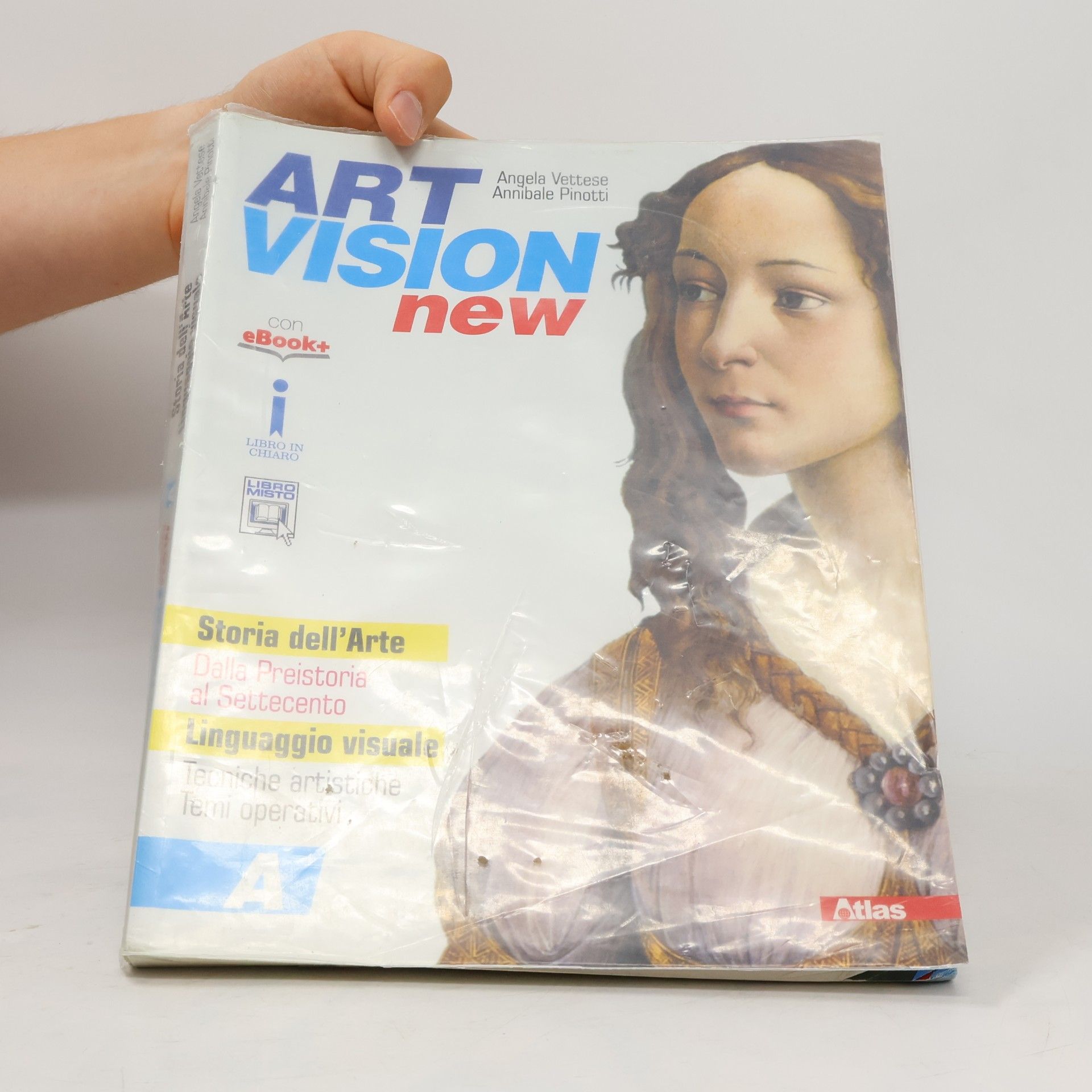 Angela Vettese Art Vision New B