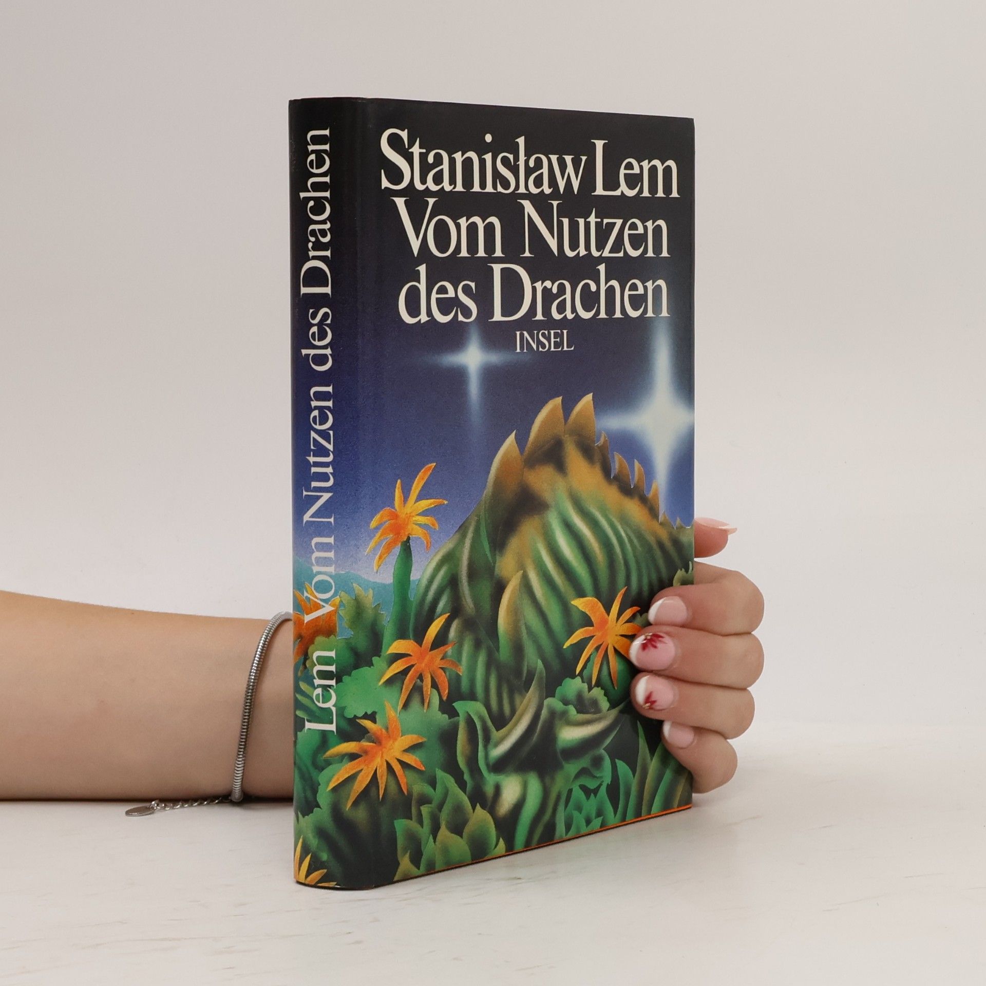 Vom Nutzen des Drachen