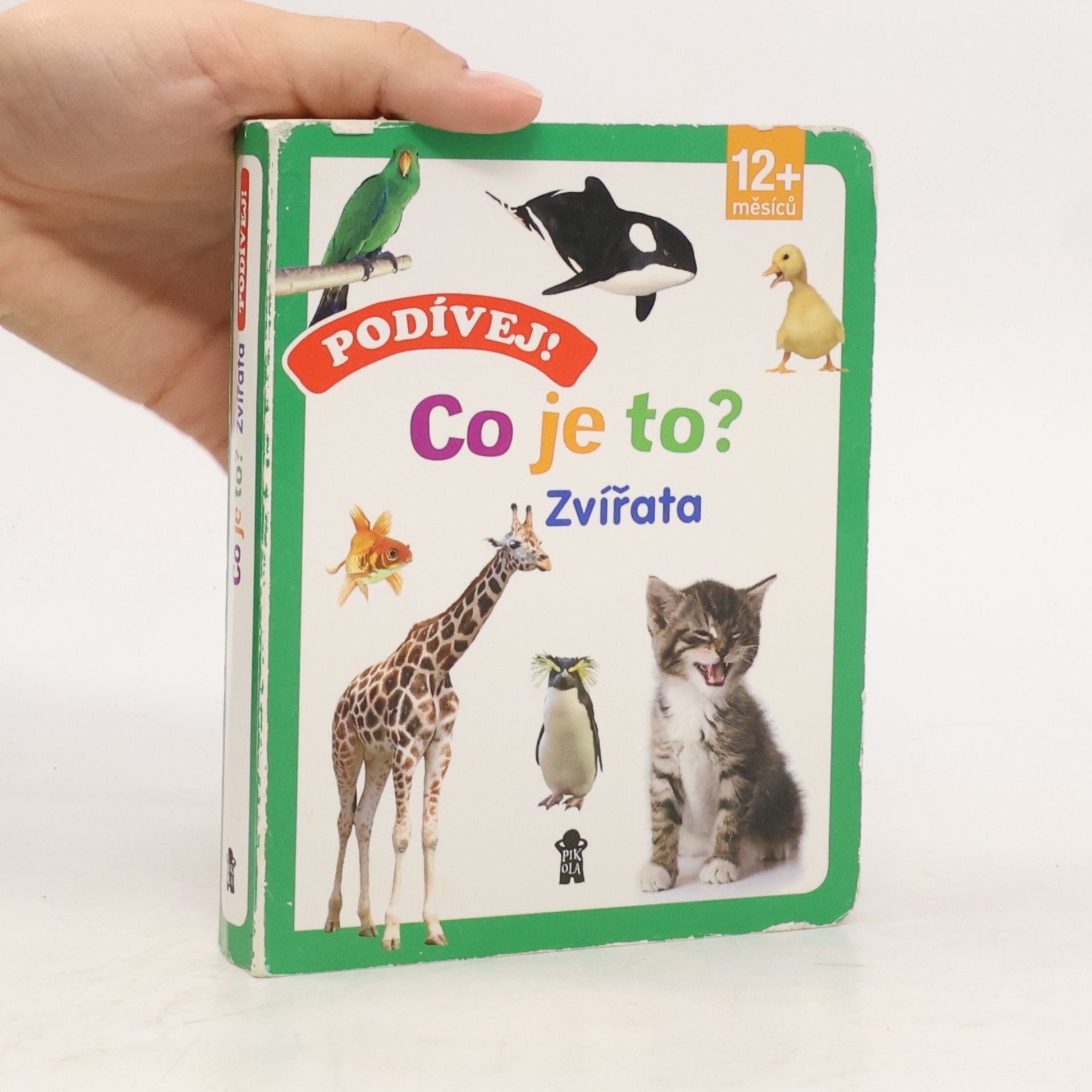 Kolektív autorov Podívej! Co je to?. Zvířata Zvířata