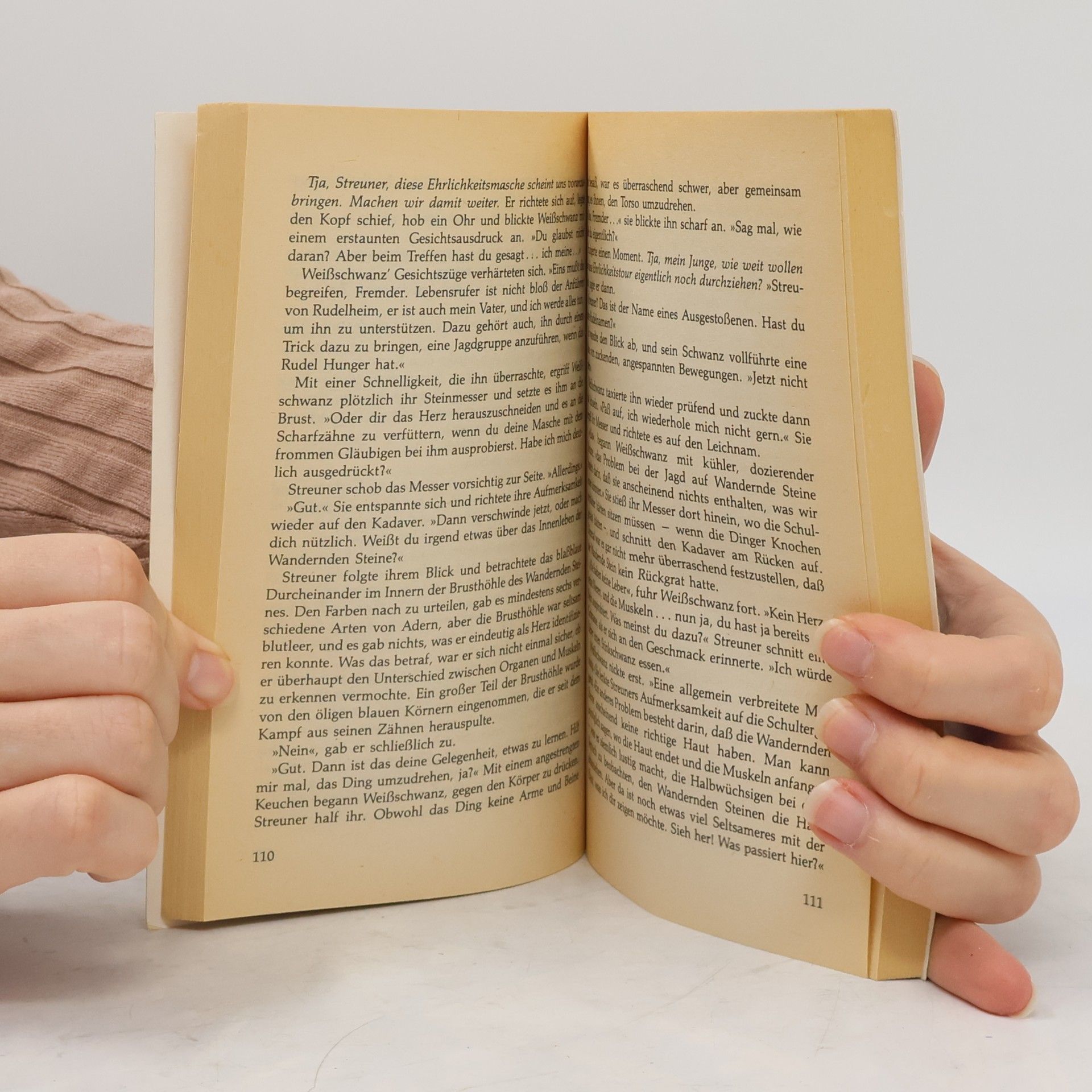 Bruce Bethke Der Außenseiter. Science Fiction Roman
