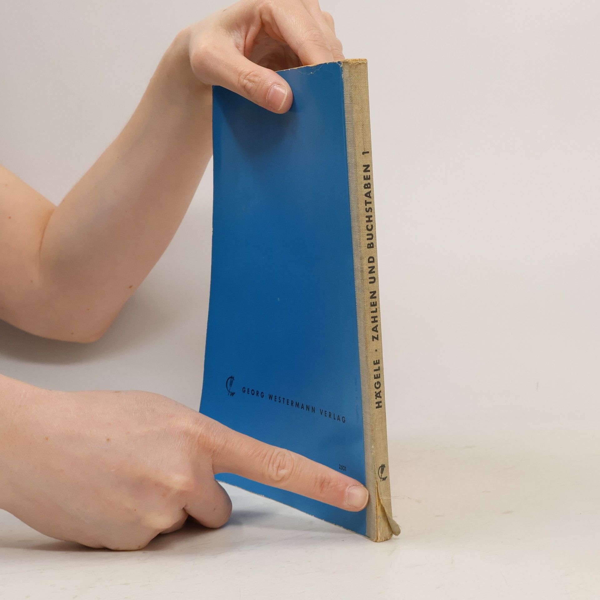 Walter Hägele Zahlen und Buchstaben: Arithmetik und Algebra. Band 1
