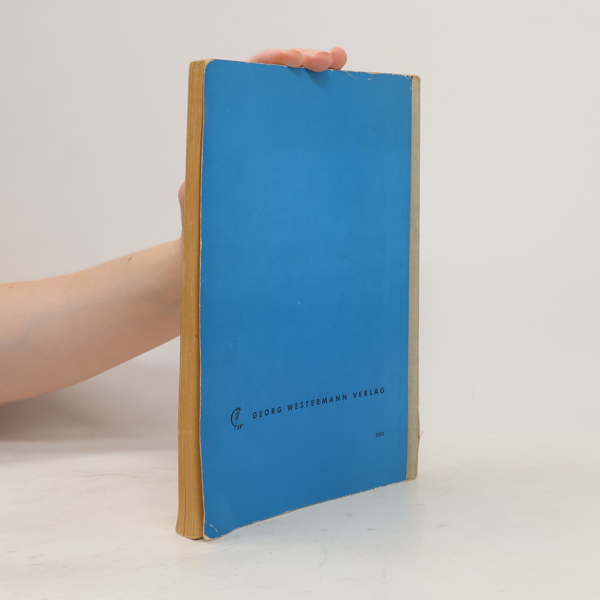 Walter Hägele Zahlen und Buchstaben: Arithmetik und Algebra. Band 1
