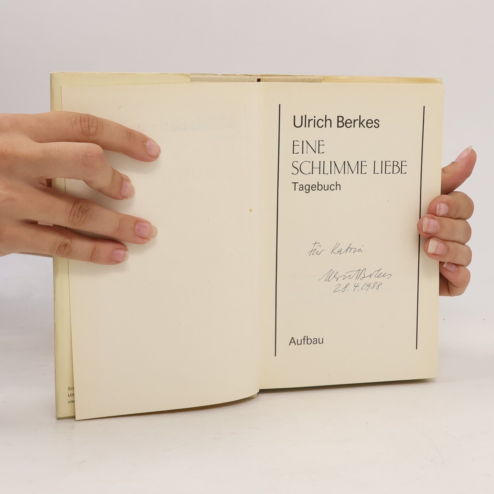 Ulrich Berkes Eine schlimme Liebe