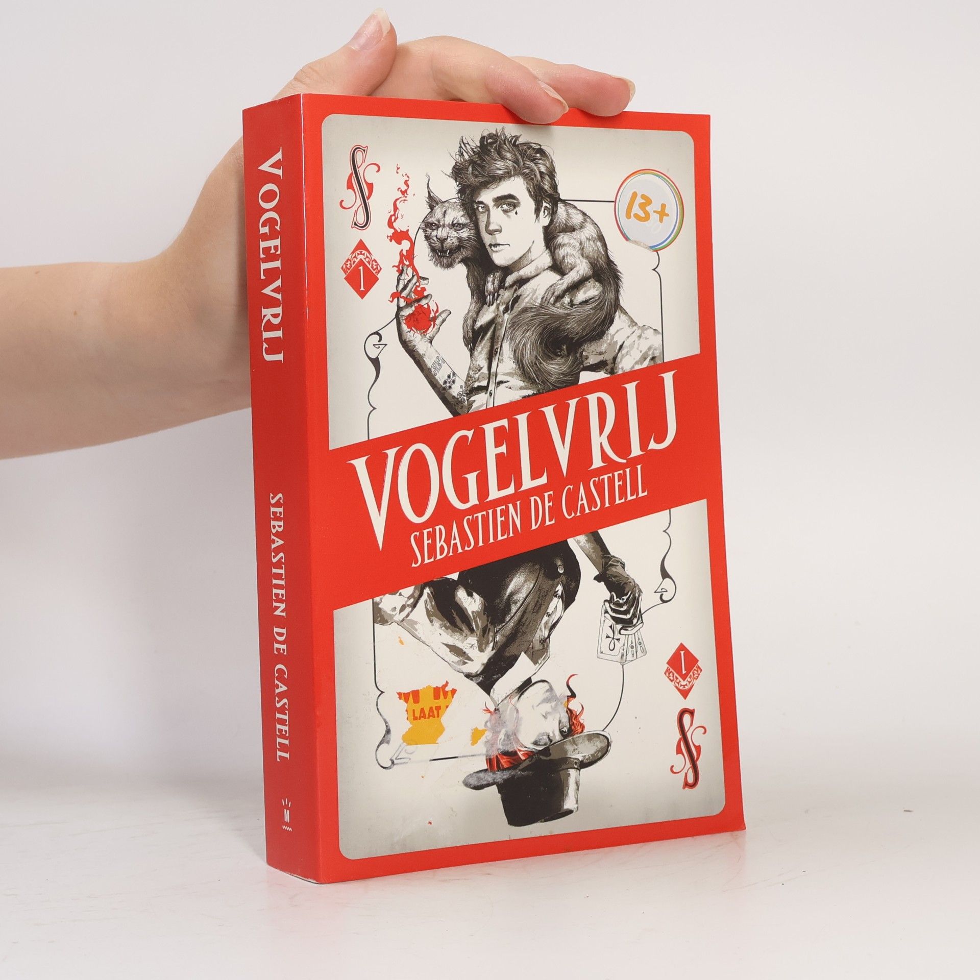 Hanneke van Soest Spellslinger - 1: Vogelvrij