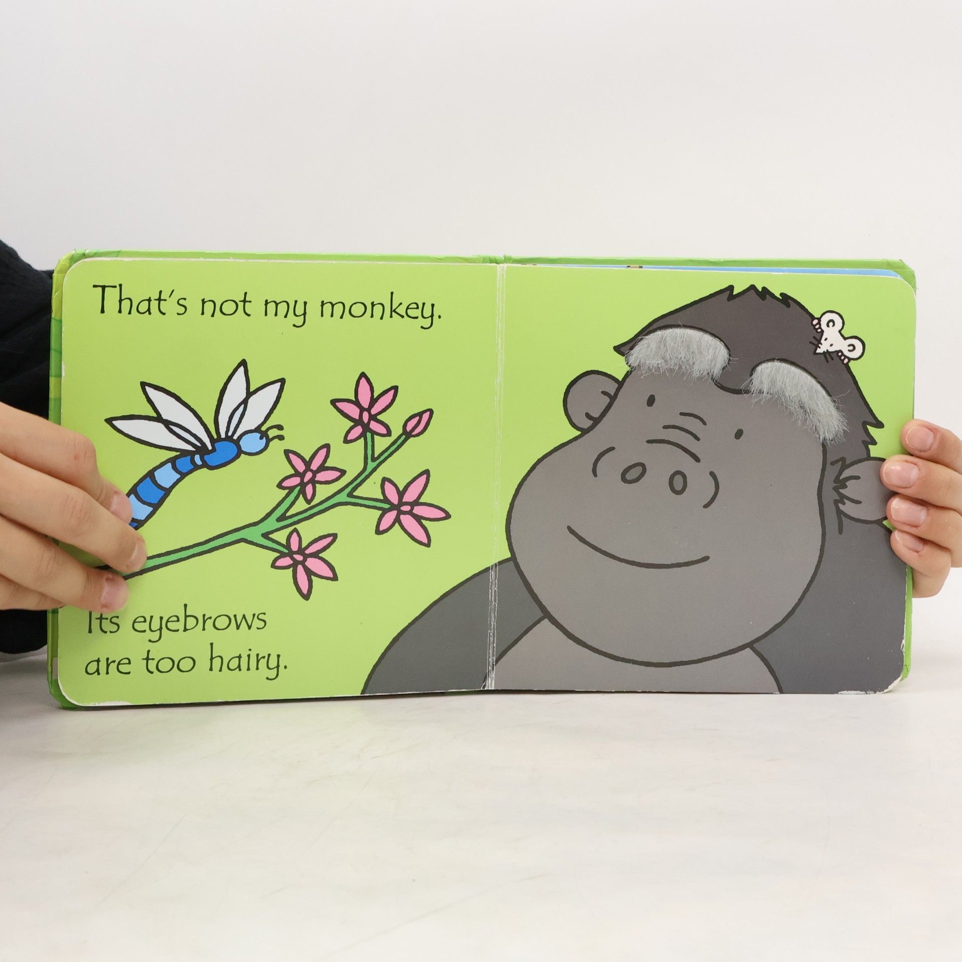 Fiona Watt That's Not My Monkey..