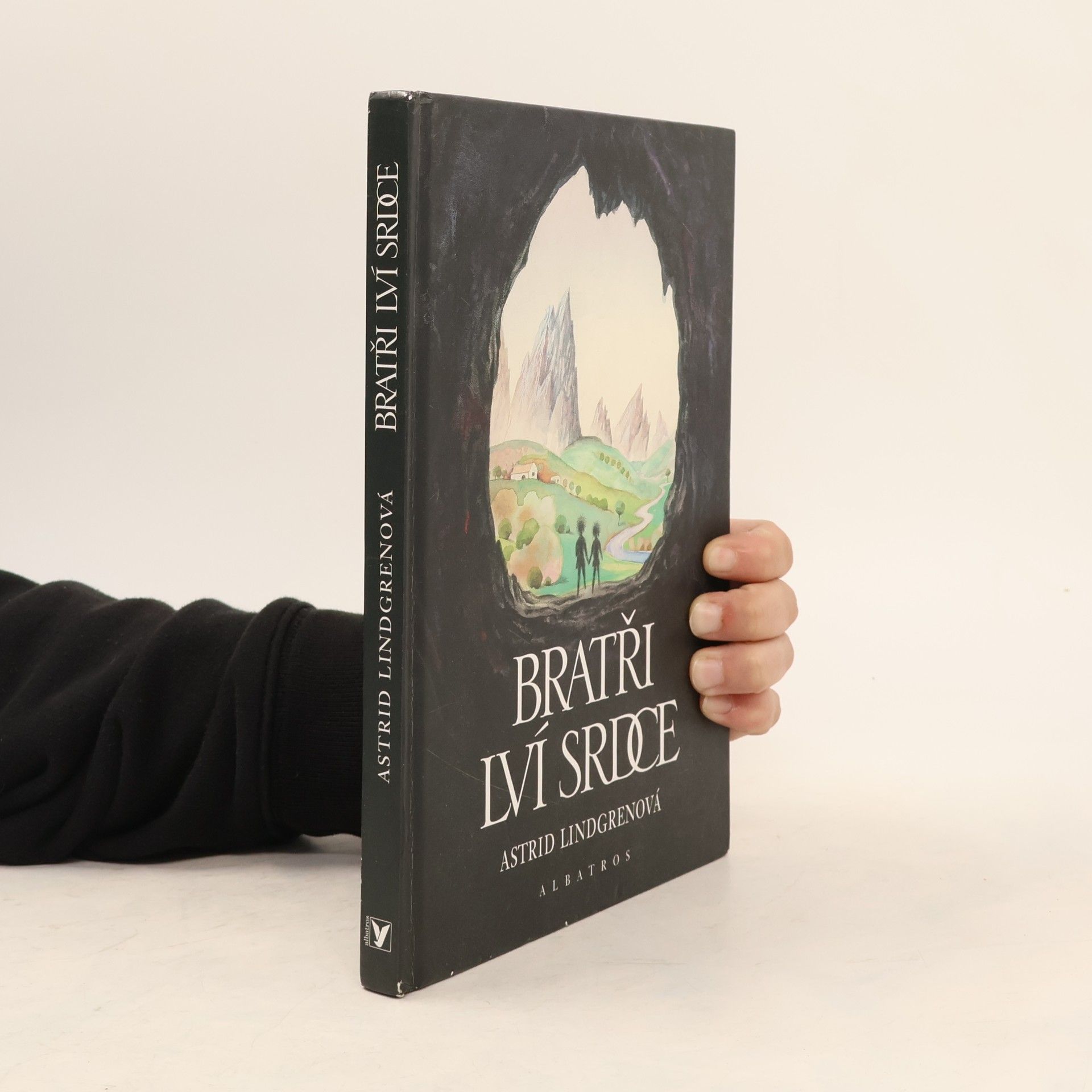 Astrid Lindgren Bratři Lví srdce