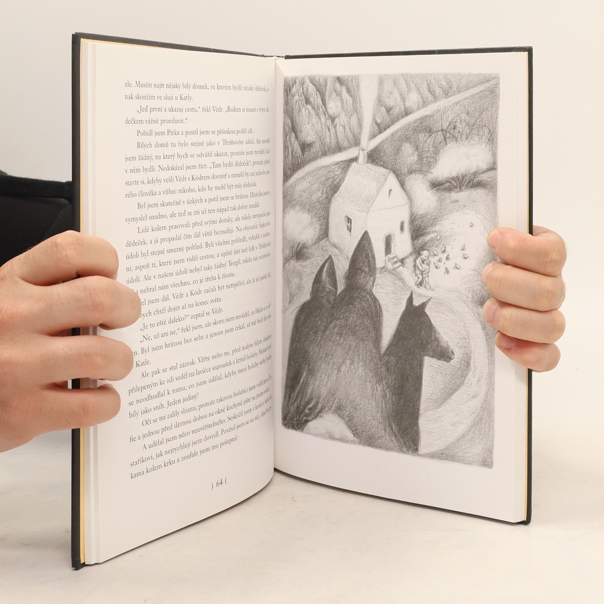 Astrid Lindgrenová Bratři Lví srdce