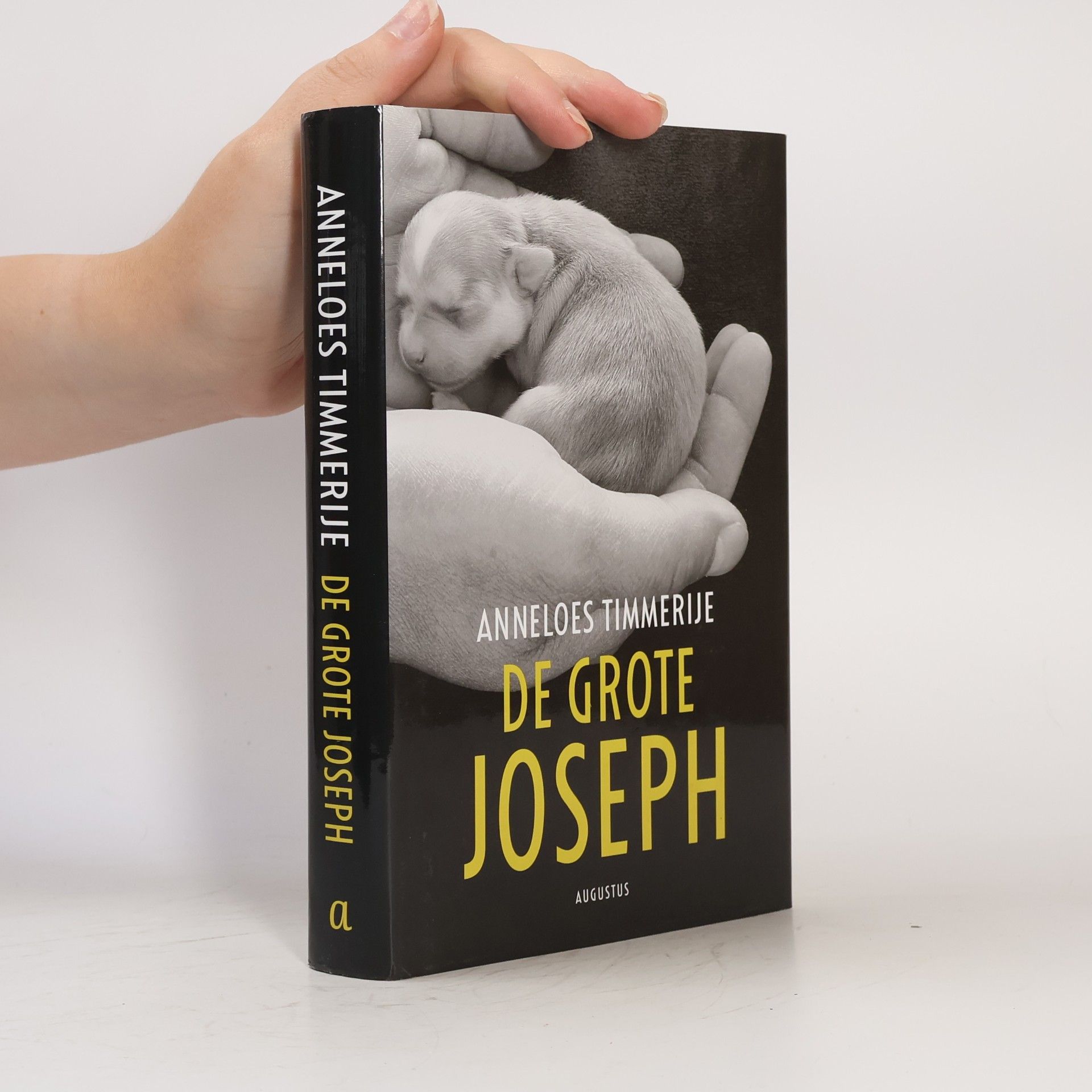 De grote Joseph