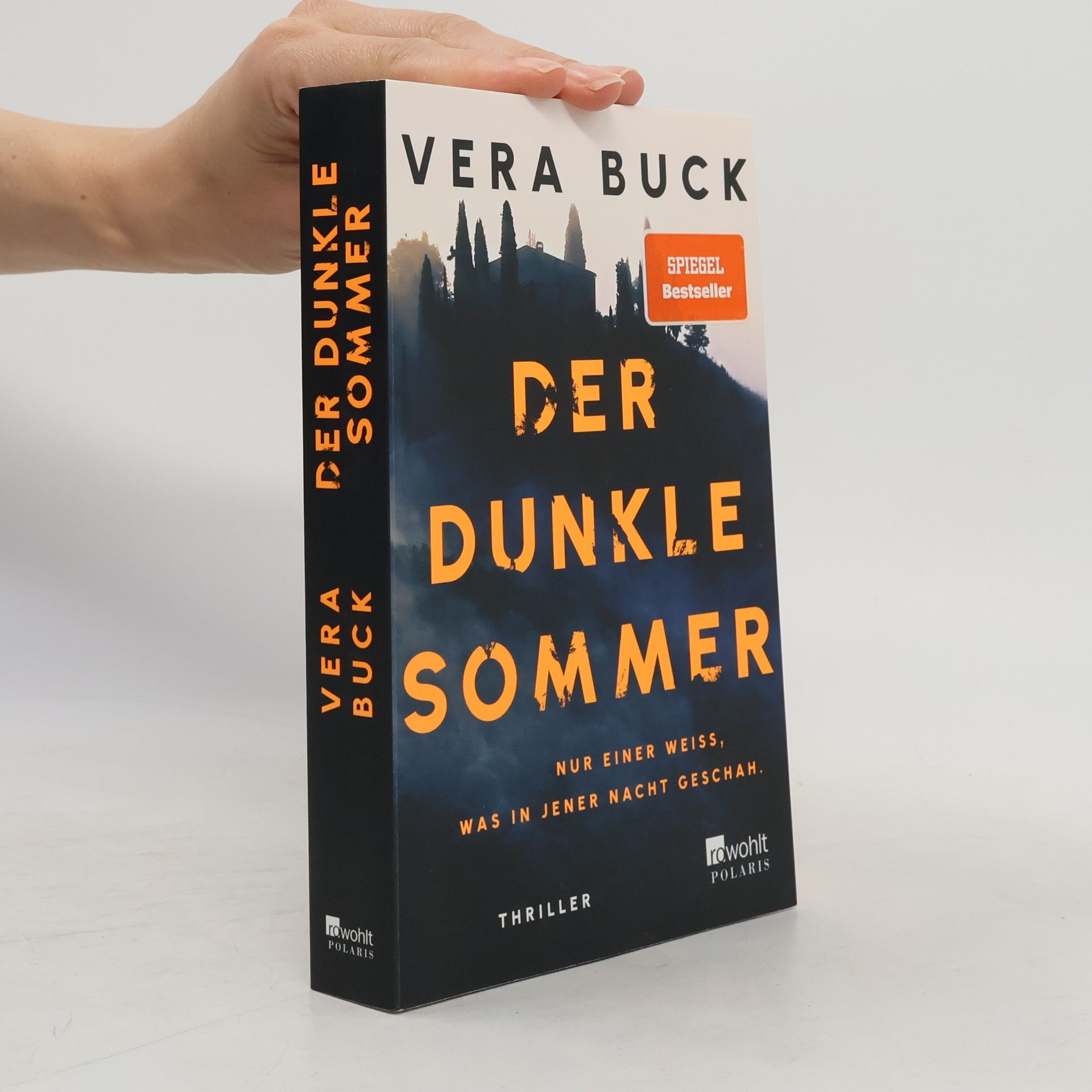 Vera Buck Der dunkle Sommer