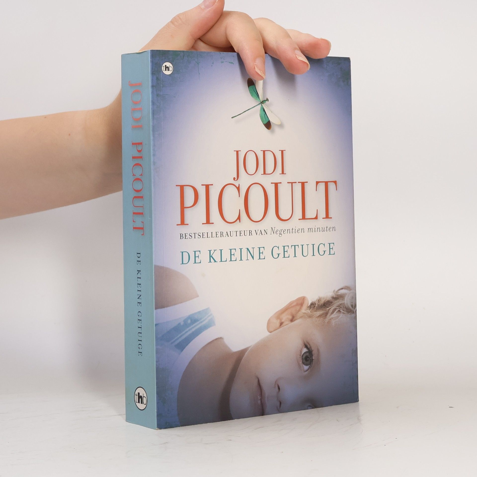 Jodi Picoult De kleine getuige