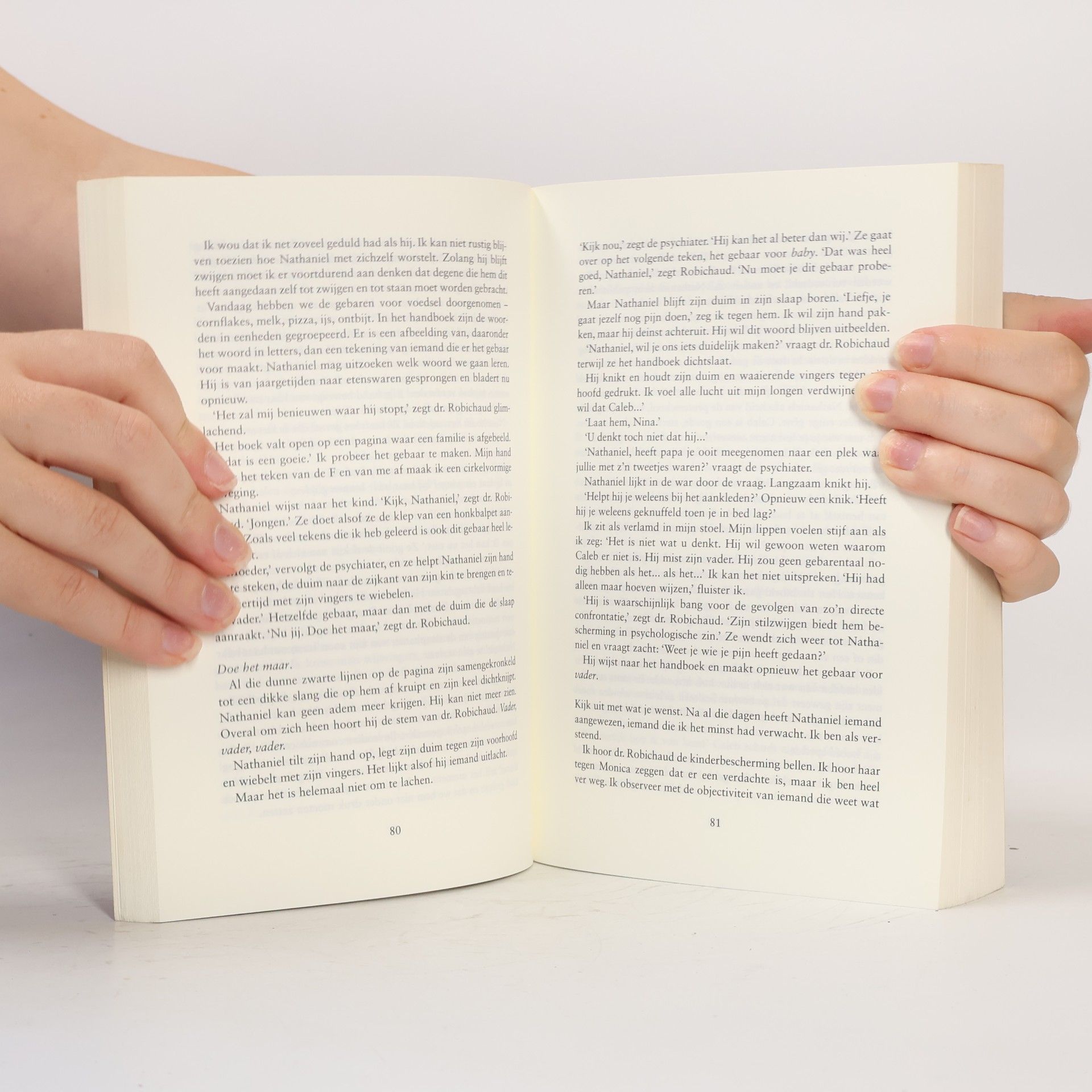Jodi Picoult De kleine getuige