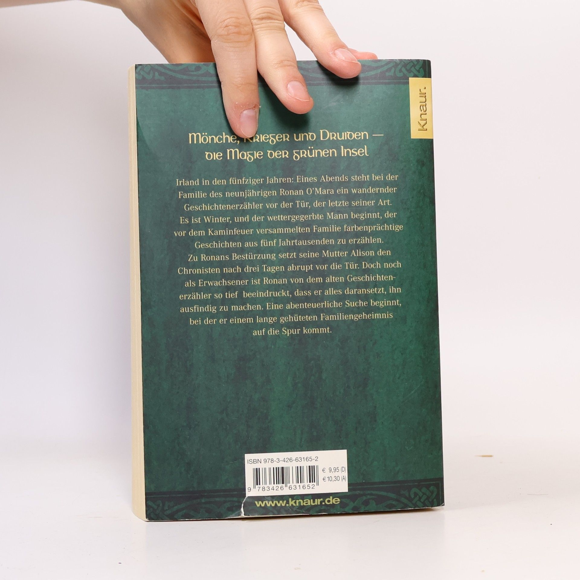 Frank Delaney Schwert und Harfe: Die grosse Irland-Saga