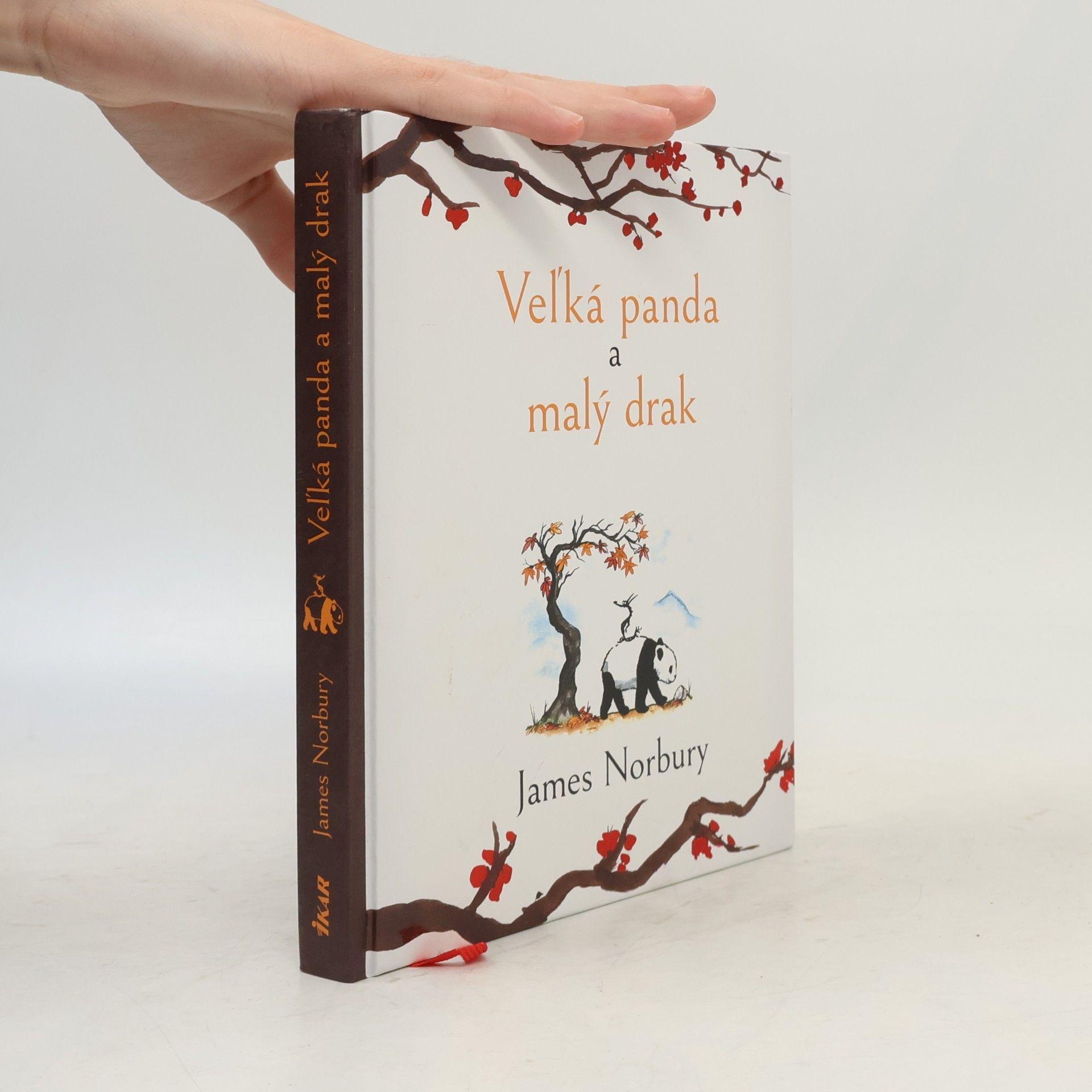 James Norbury Veľká panda a malý drak