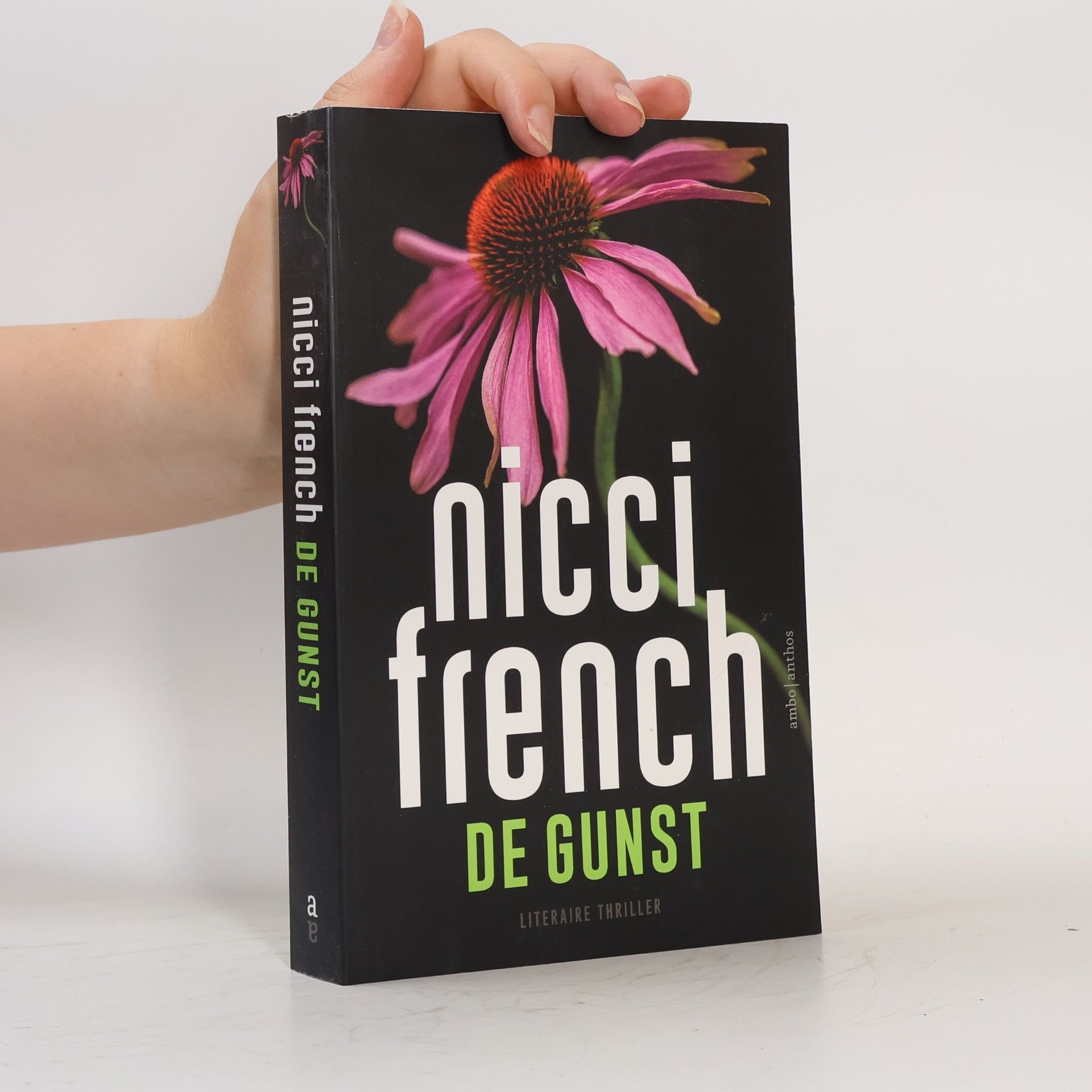 Nicci French De Gunst