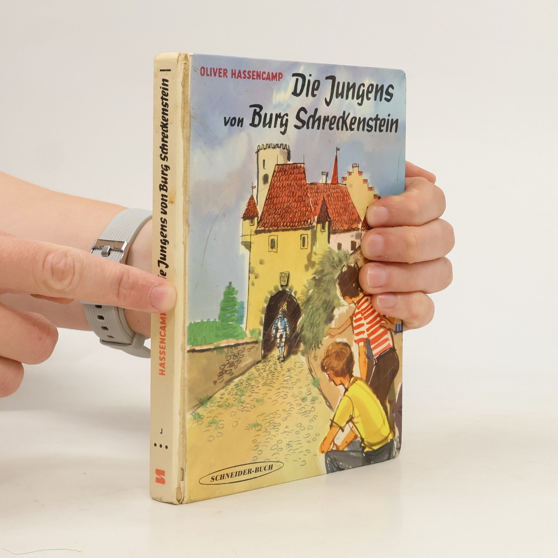 Oliver Hassencamp Die Jungens von Burg Schreckenstein