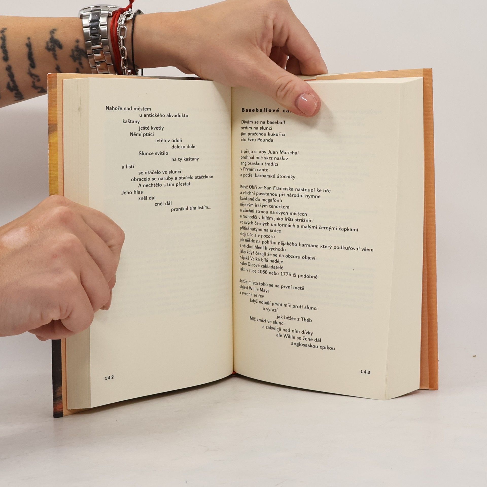 Lawrence Ferlinghetti Ve snu ve snu snil jsem sen