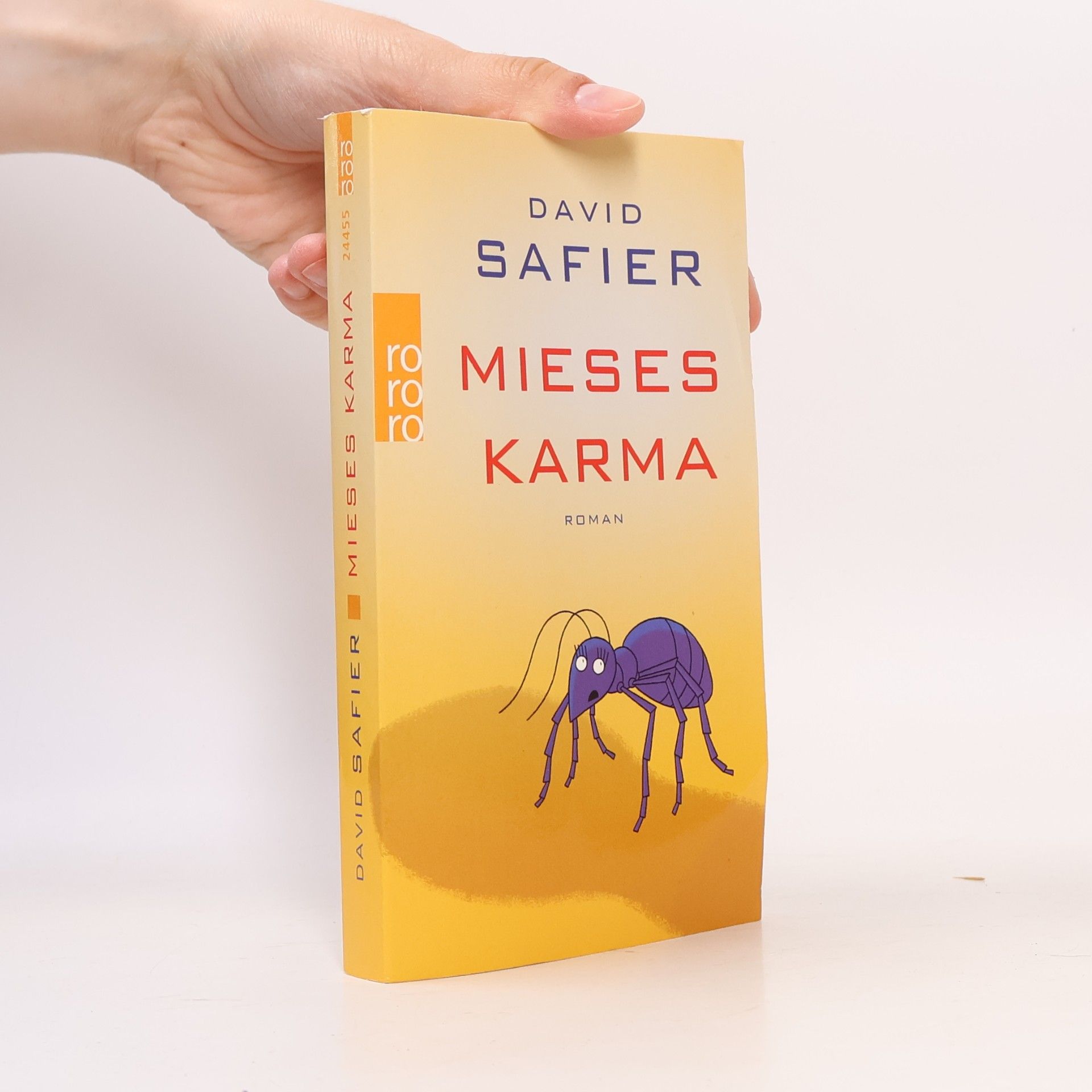 David Safier Mieses Karma