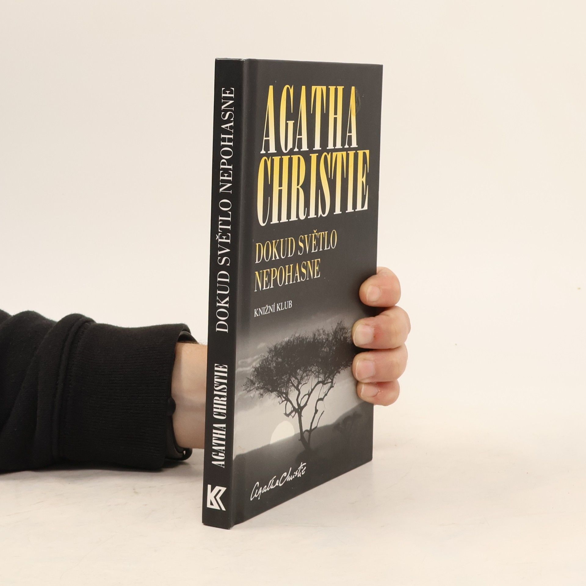 Agatha Christie Dokud světlo nepohasne