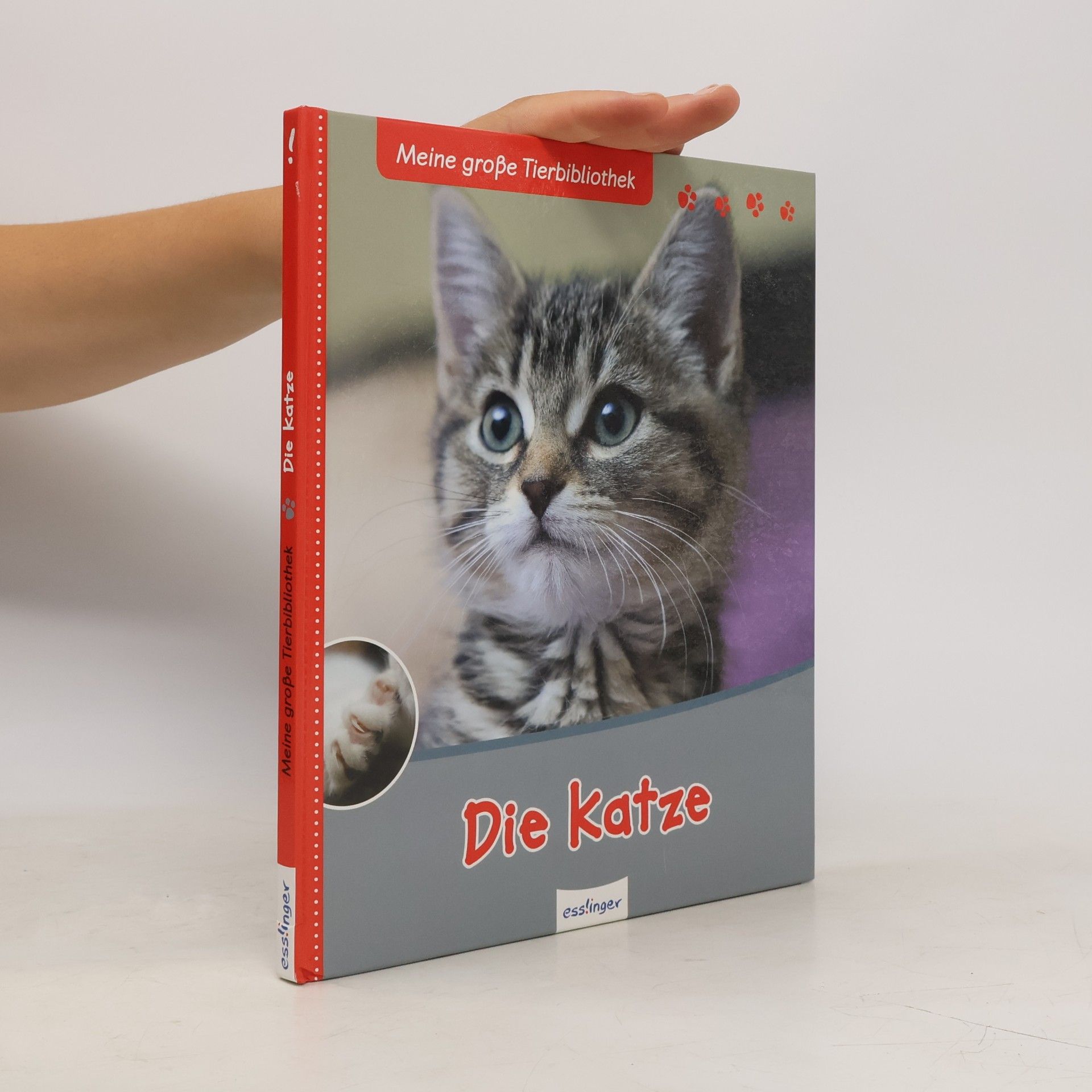 Stéphane Frattini Die Katze