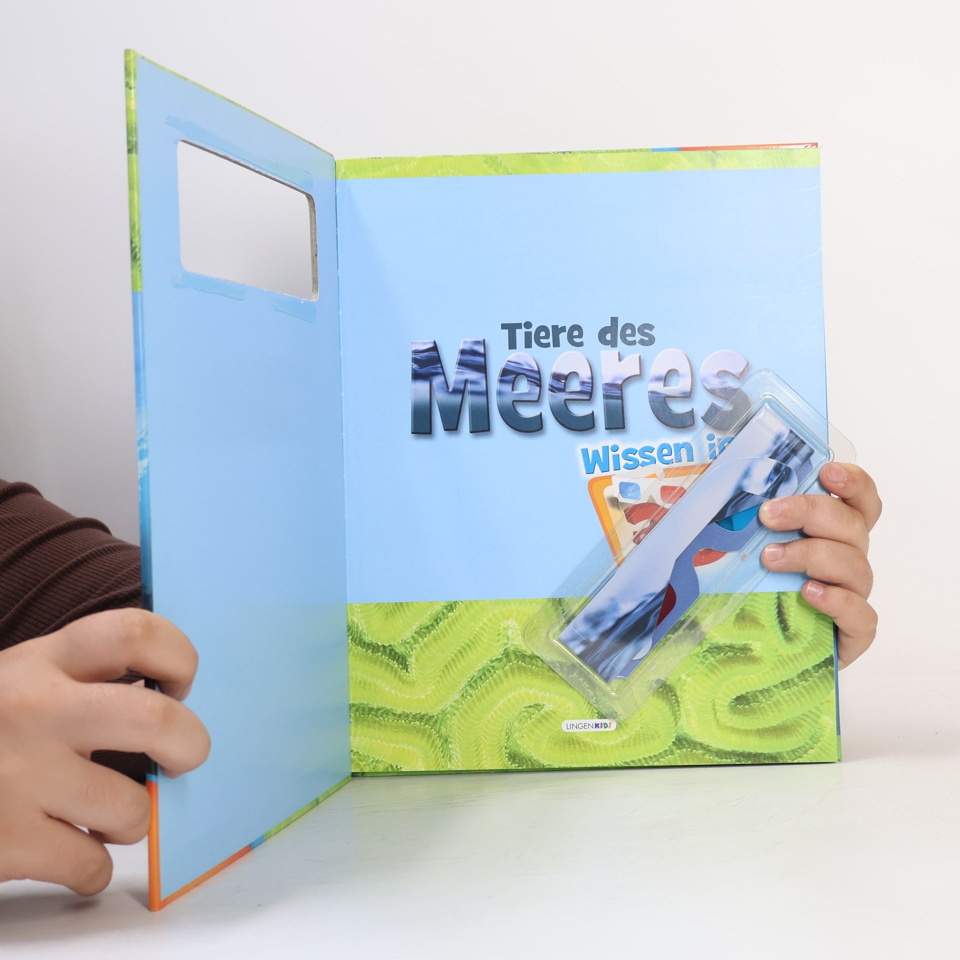 Autorenkollektiv Tiere des Meeres