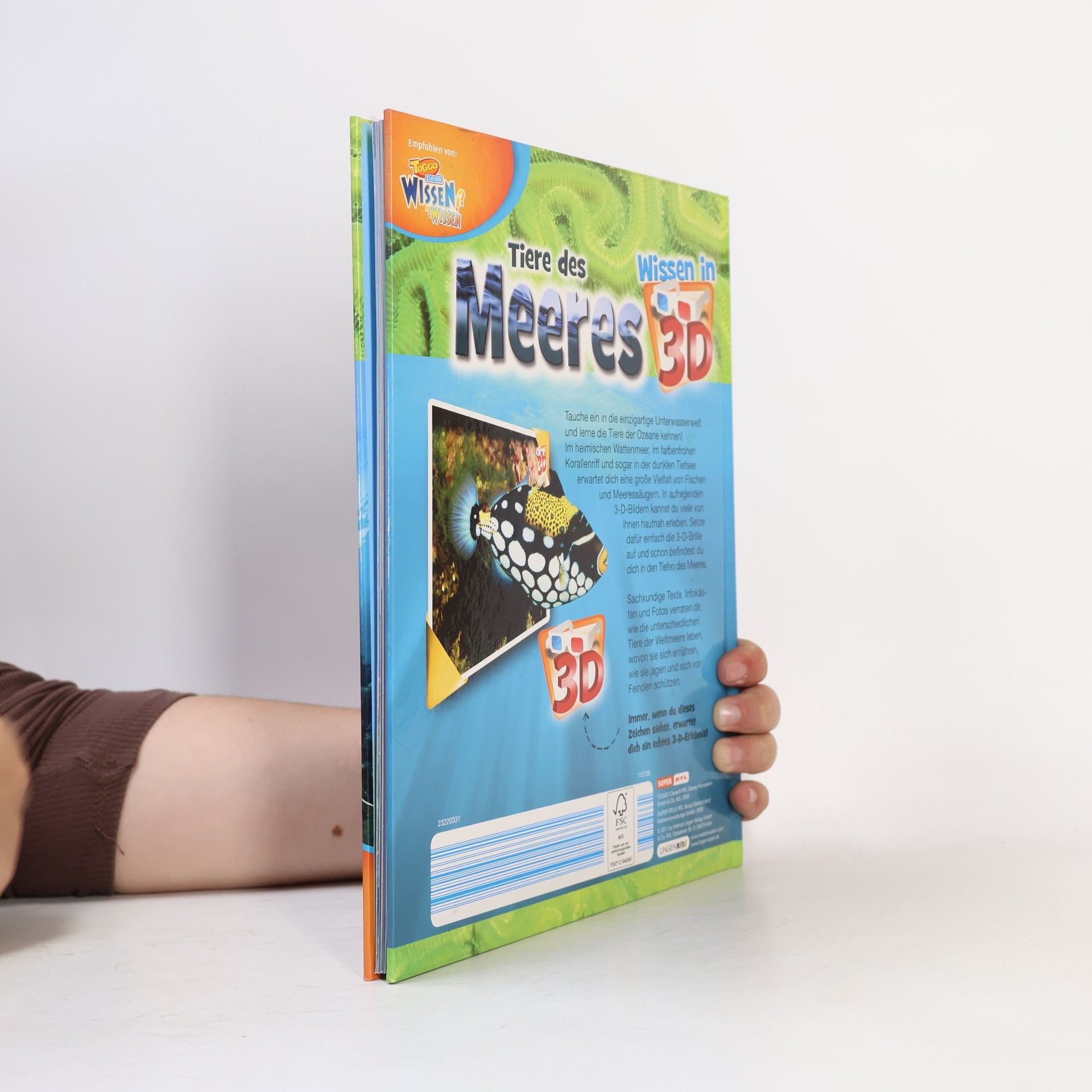 Autorenkollektiv Tiere des Meeres