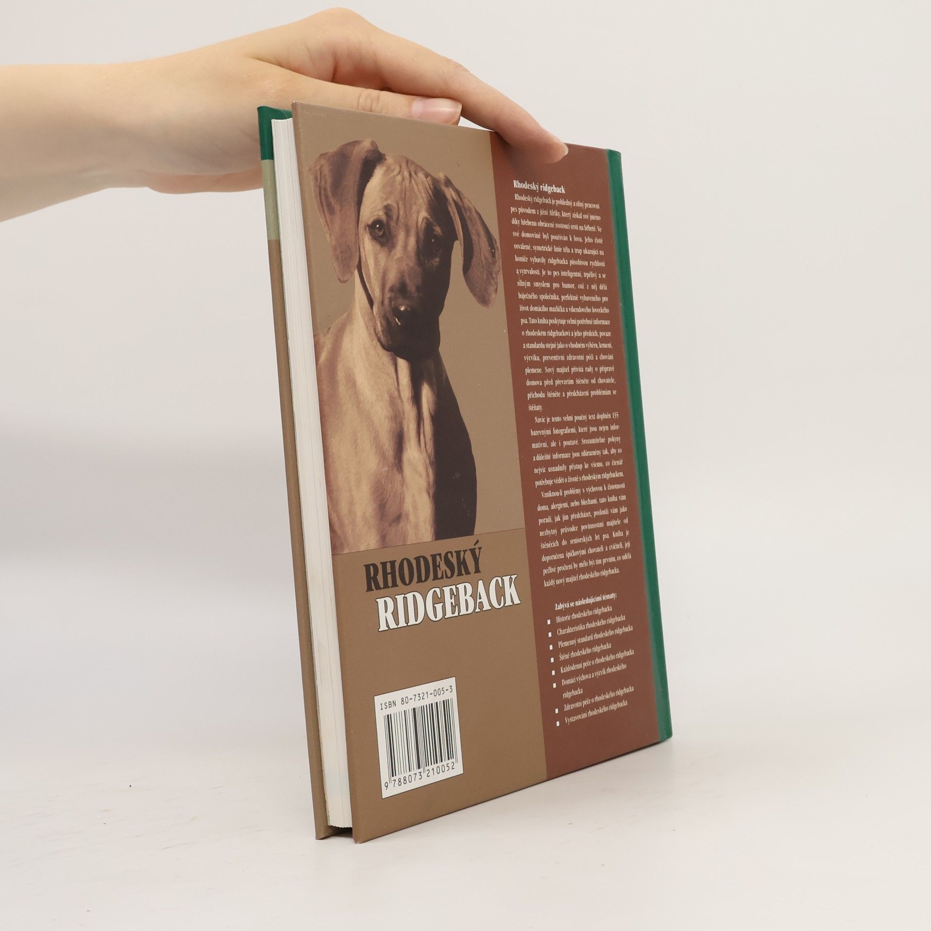 Ann Chamberlain Rhodeský ridgeback