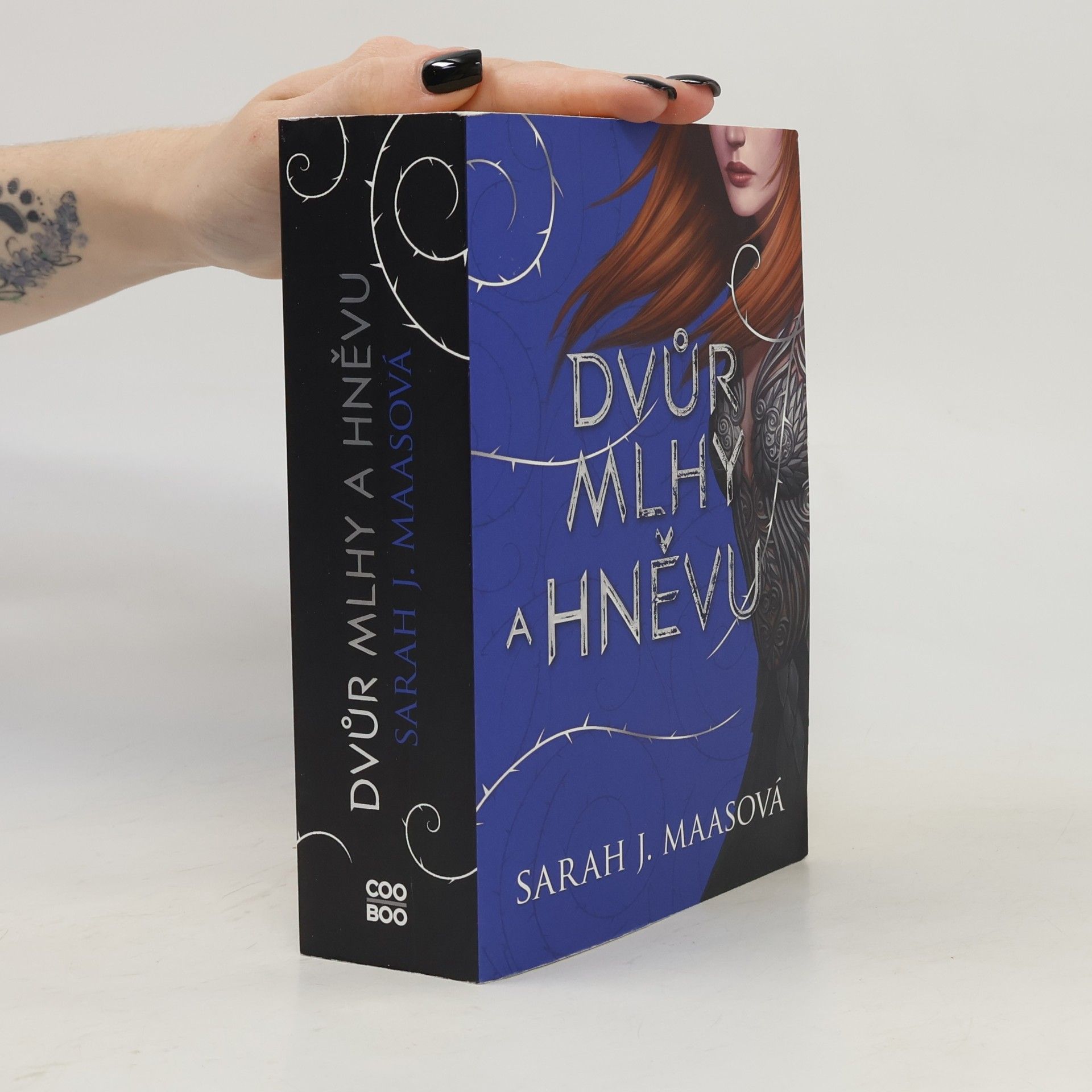 Sarah J. Maas Dvůr mlhy a hněvu