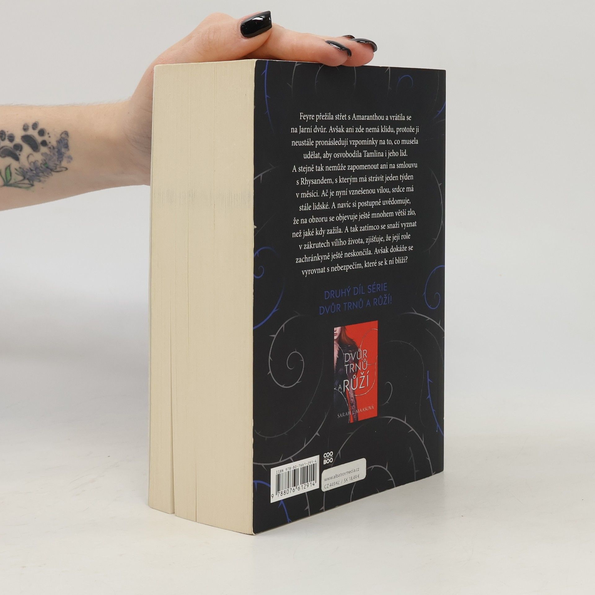 Sarah J. Maas Dvůr mlhy a hněvu