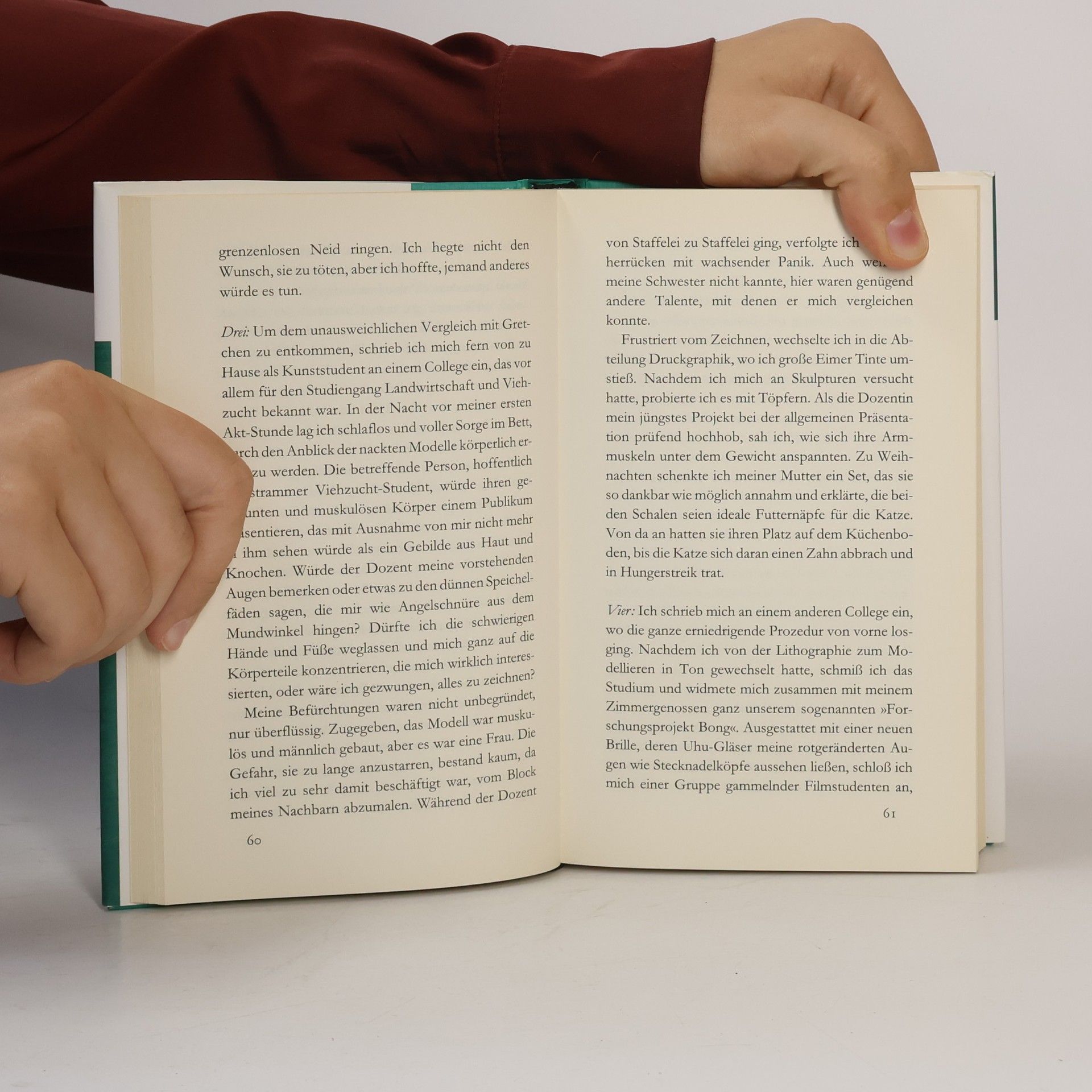 David Sedaris Ich ein Tag sprechen hübsch