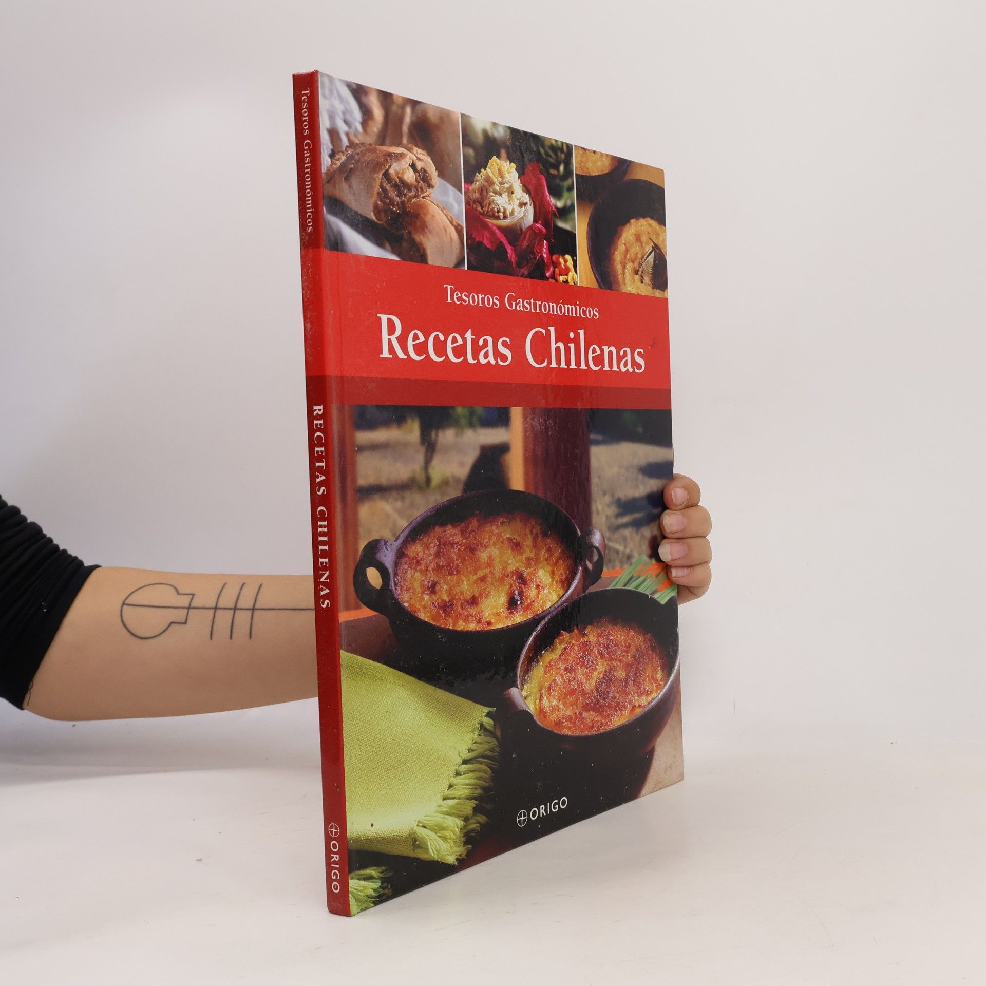 Kolektiv autorů Tesores gastronómicos: Recetas chilenas