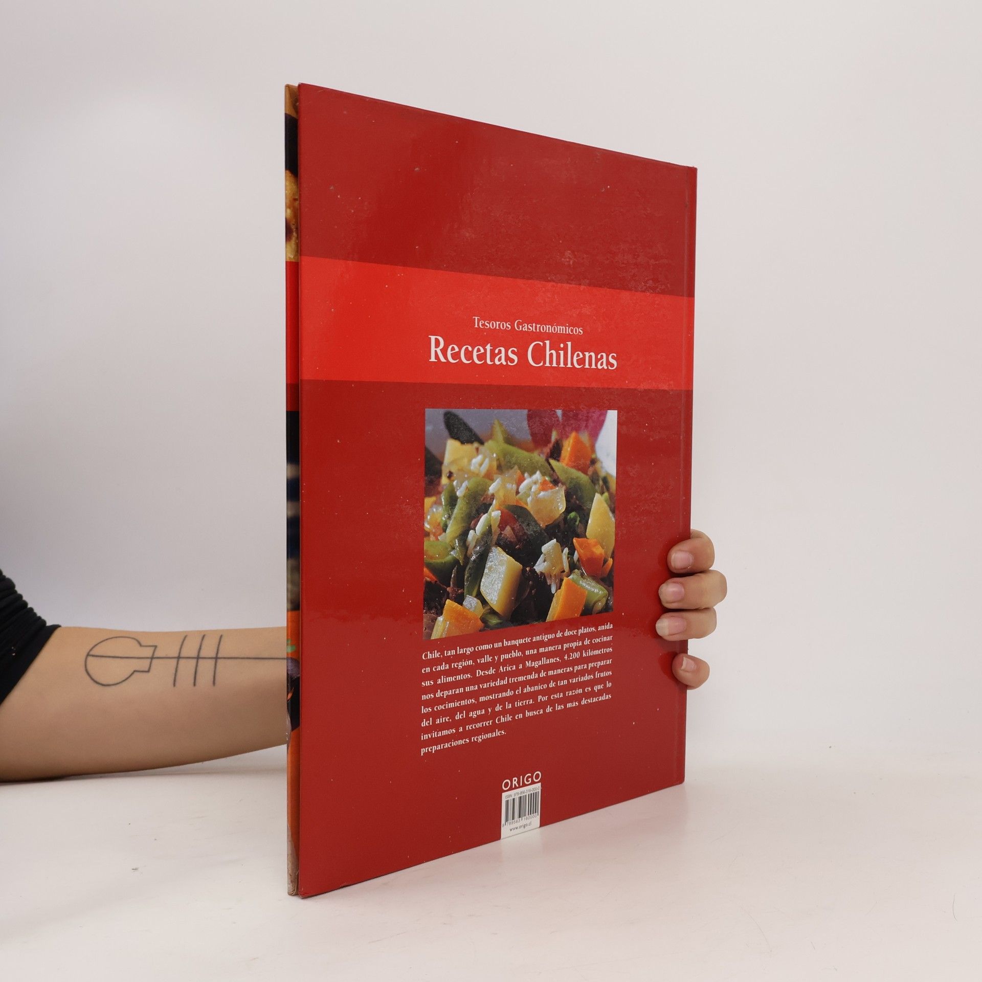 Tesores gastronómicos: Recetas chilenas