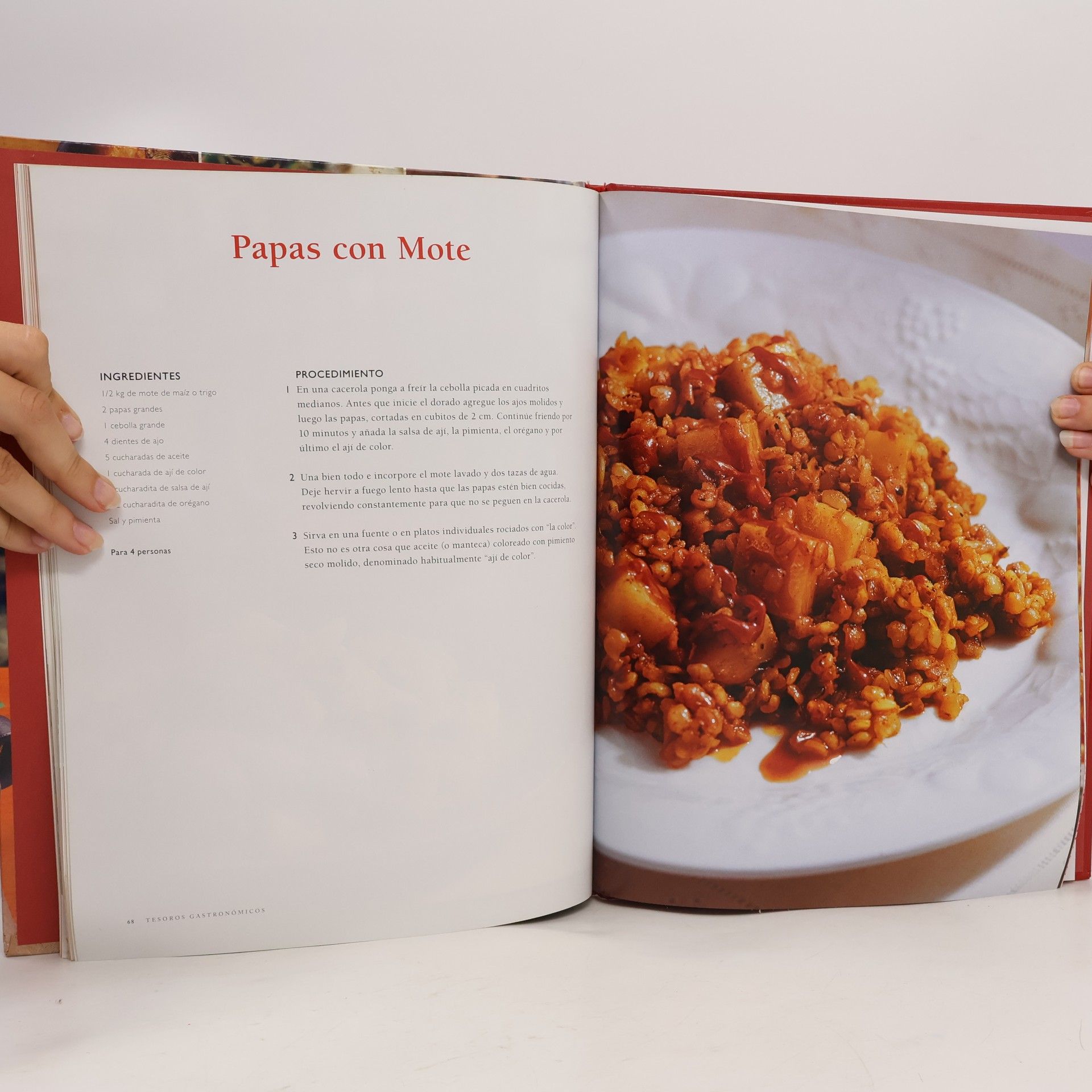 Tesores gastronómicos: Recetas chilenas