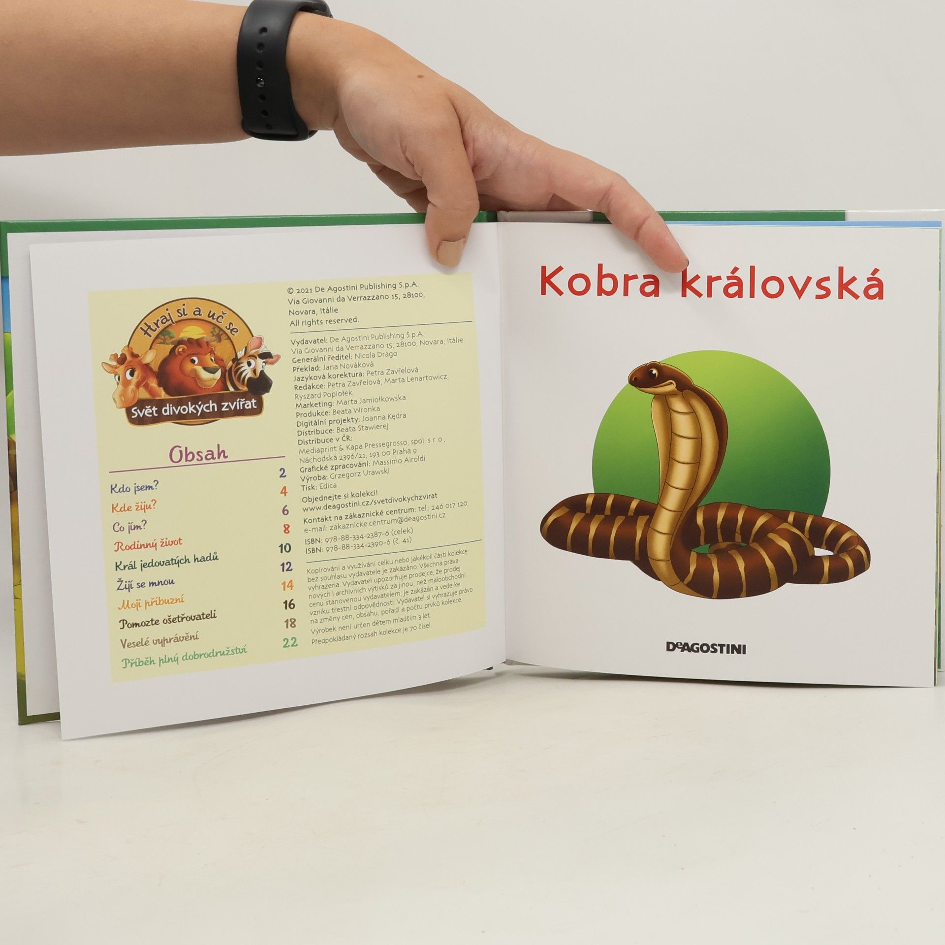 Autorenkollektiv Bydlím v lese 41. Kobra královská