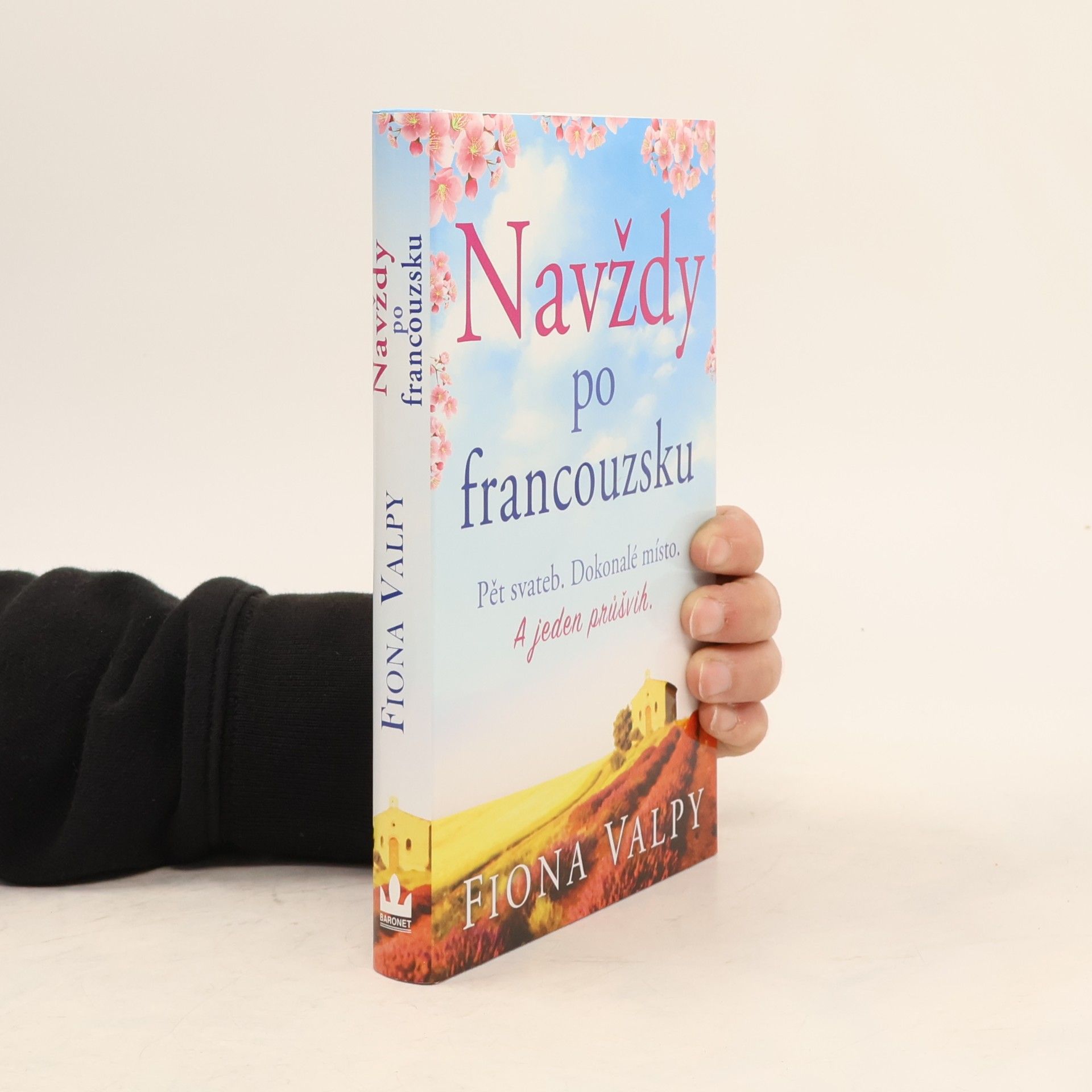Fiona Valpy Navždy po francouzsku