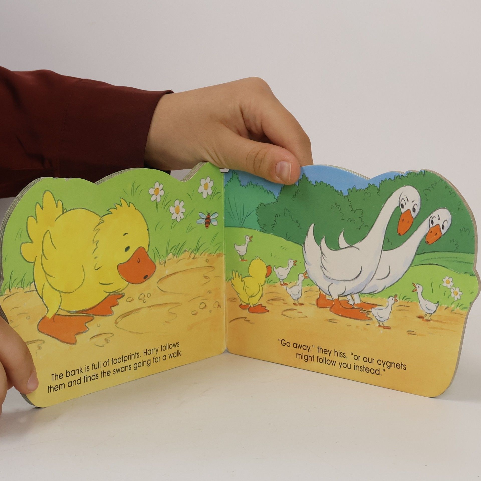 Gill Davies Harry the Duckling