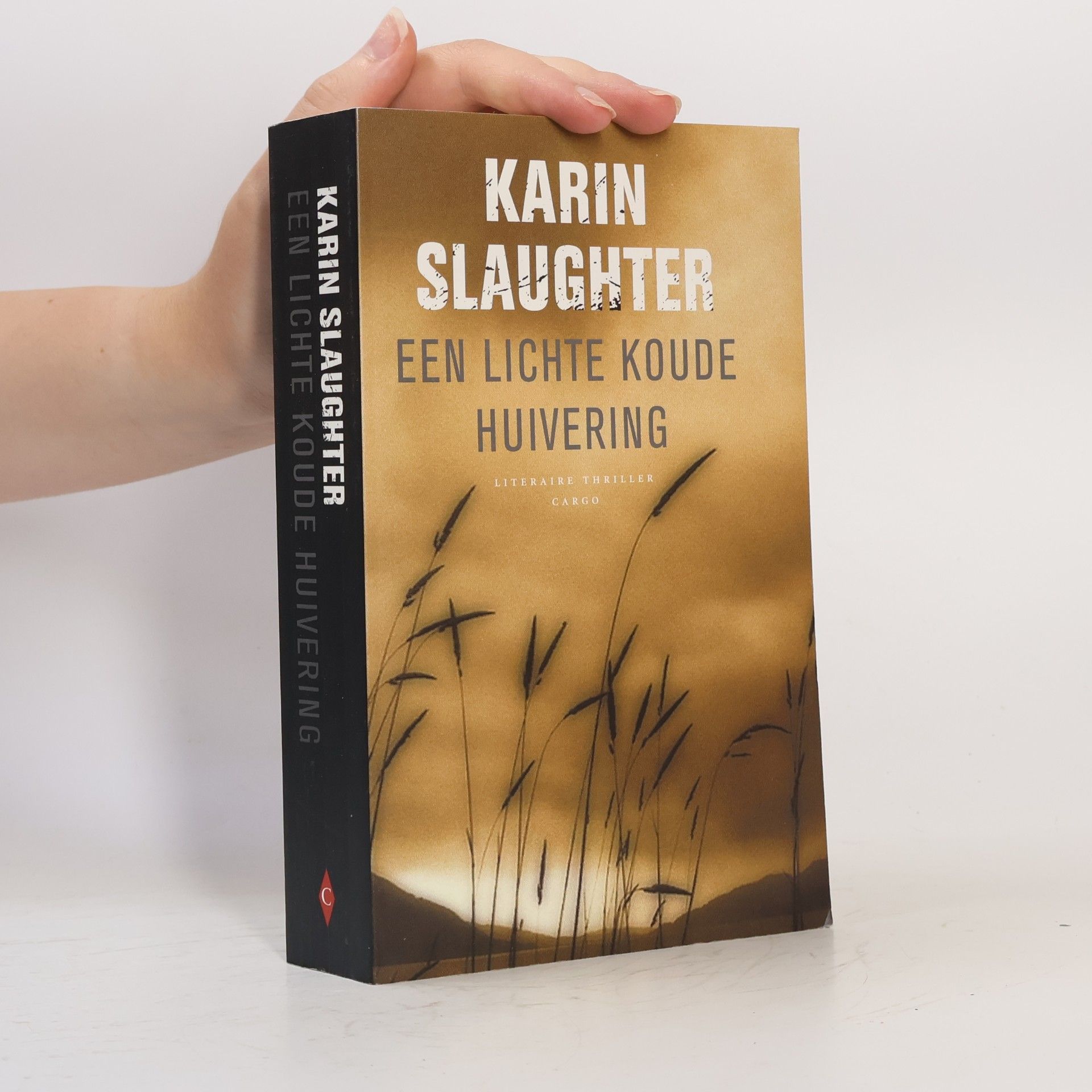 Karin Slaughter Een lichte koude huivering