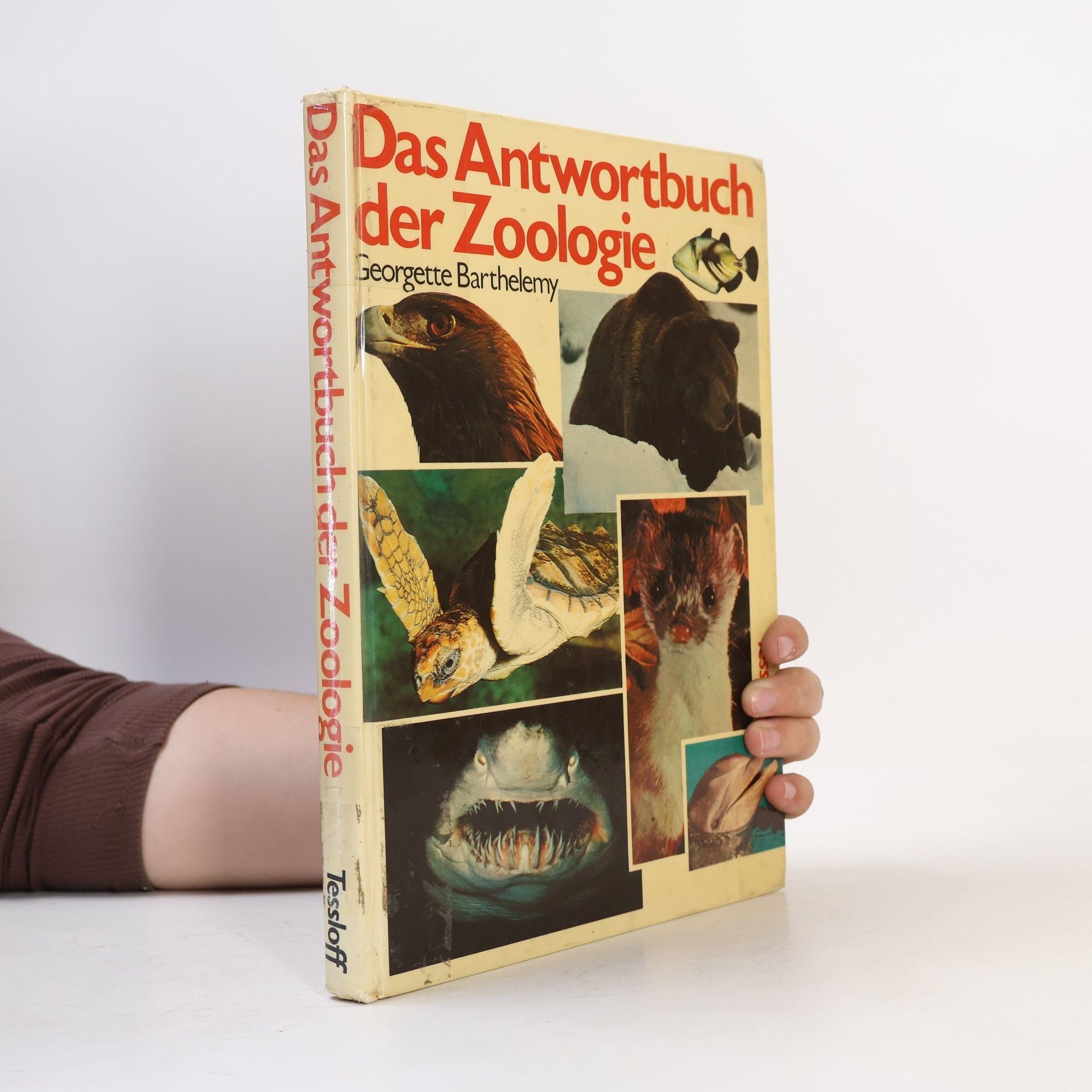 Georgette Barthelemy Das Antwortbuch der Zoologie