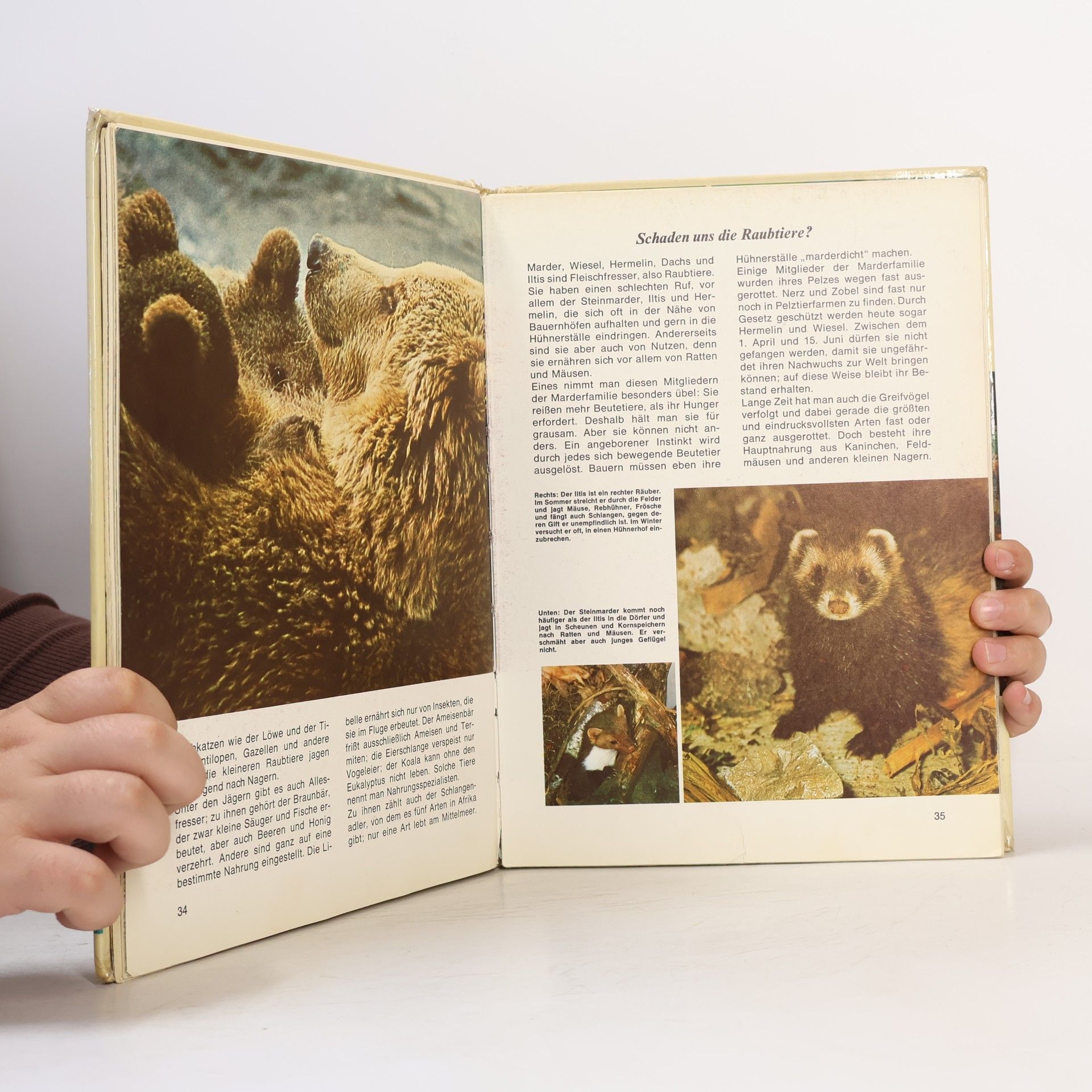 Georgette Barthelemy Das Antwortbuch der Zoologie