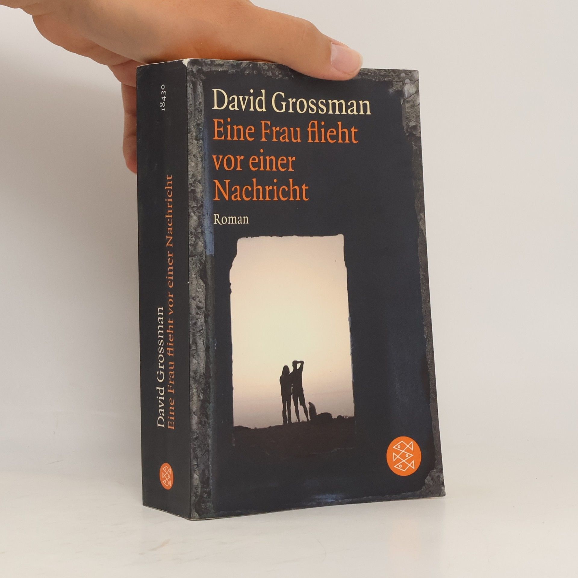 David Grossman Eine Frau flieht vor einer Nachricht