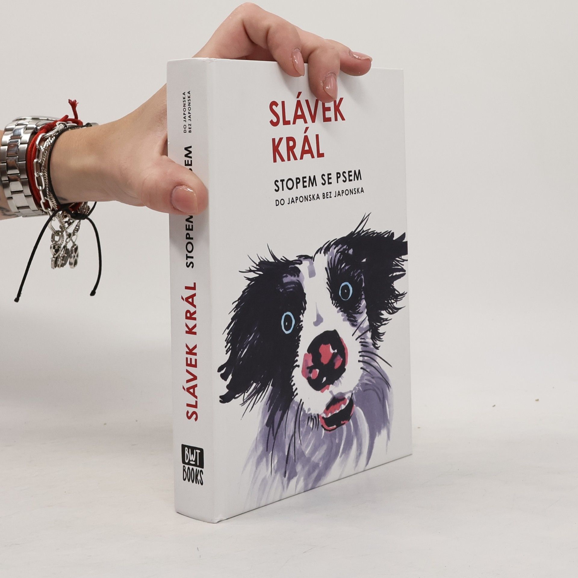 Slávek Král Stopem se psem : do Japonska bez Japonska