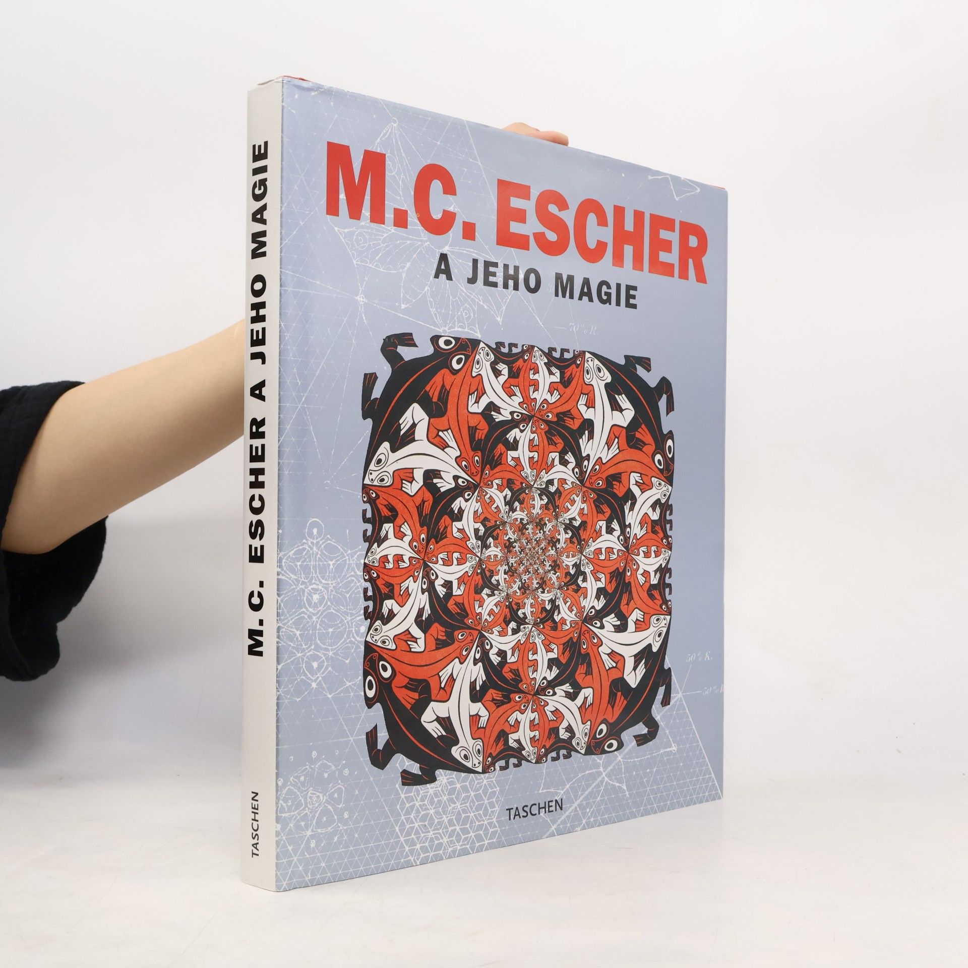 M. C. Escher M. C. Escher a jeho magie