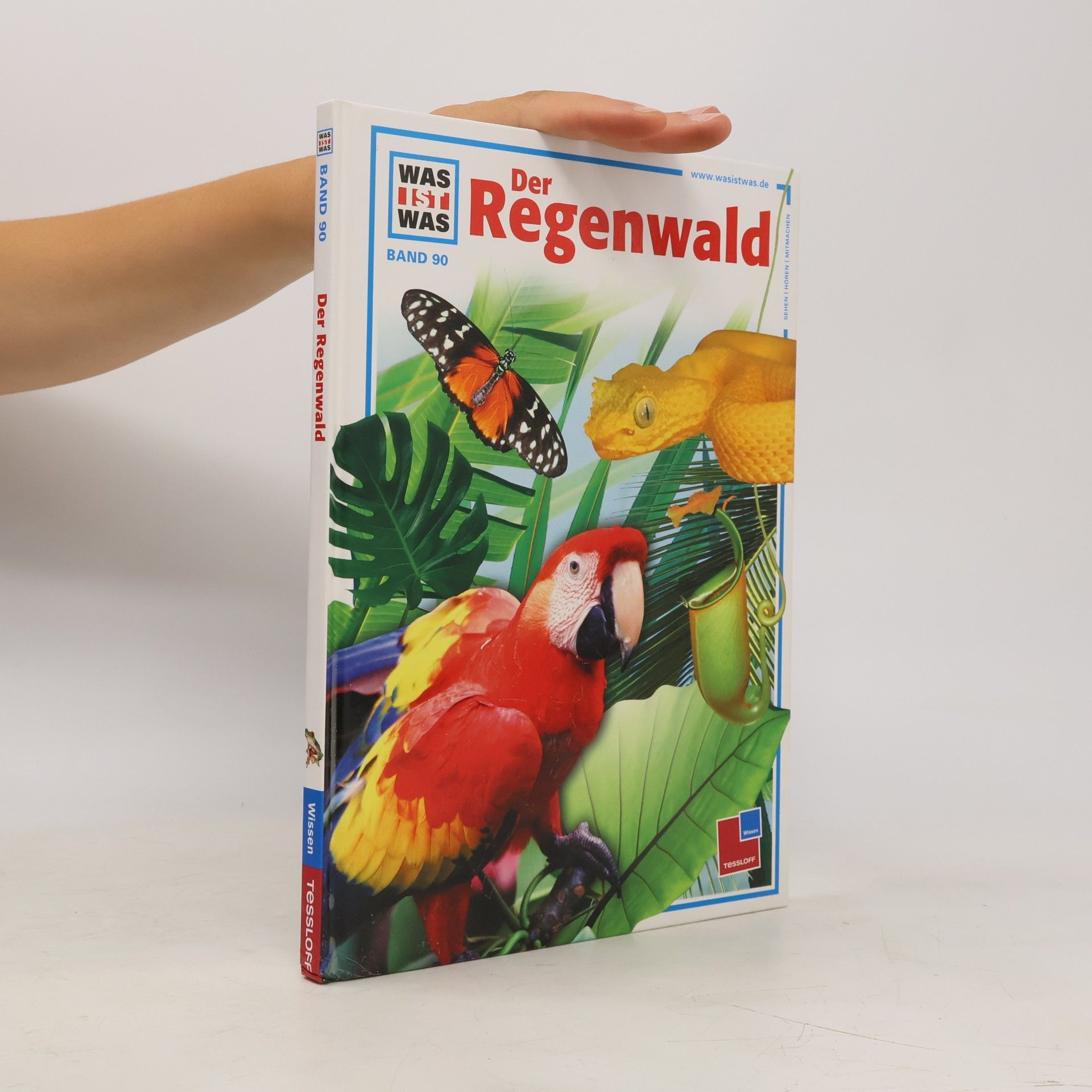 Andrea Mertiny Der Regenwald