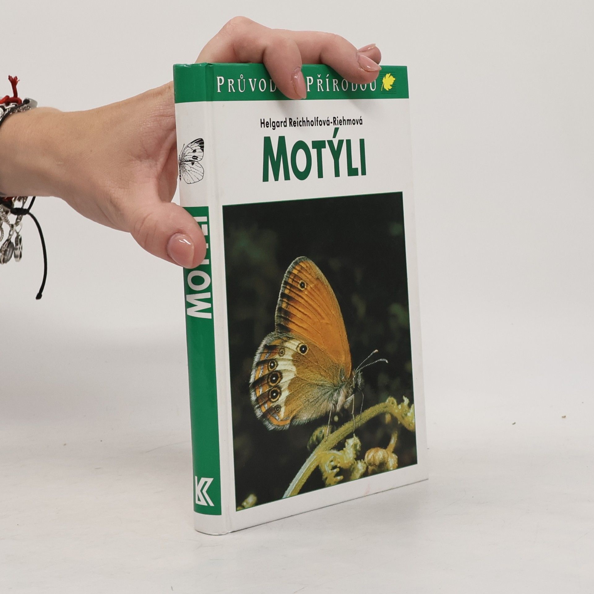 Motýli
